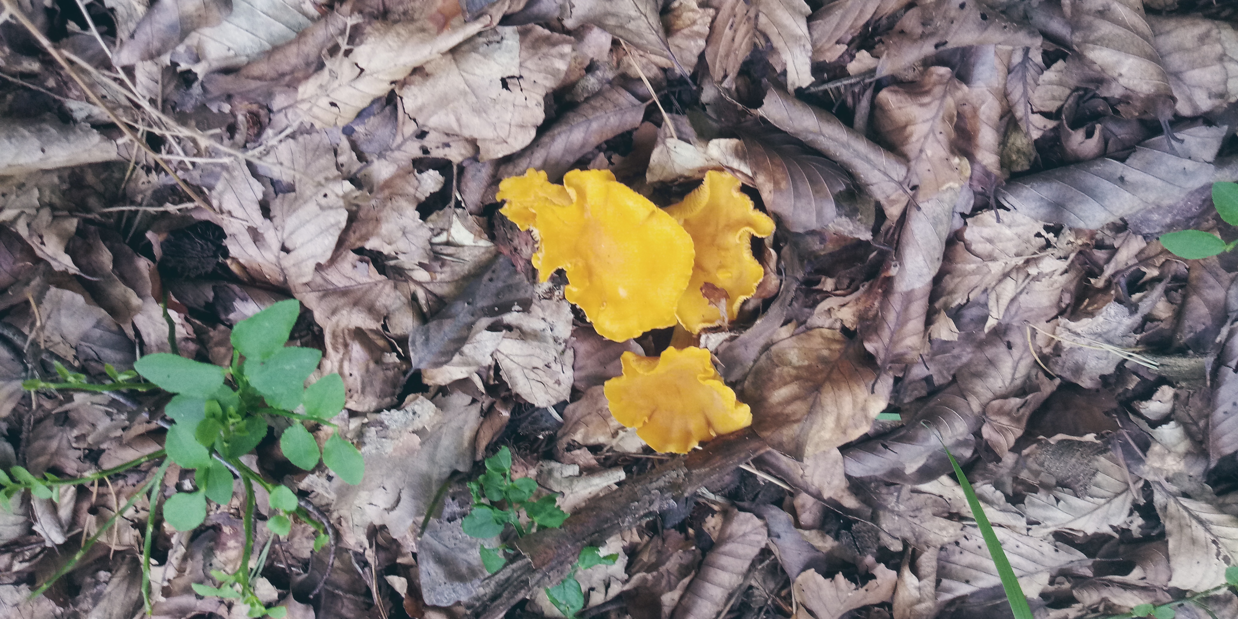20200816_121029.jpg