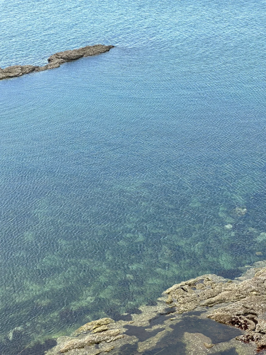 347.webp