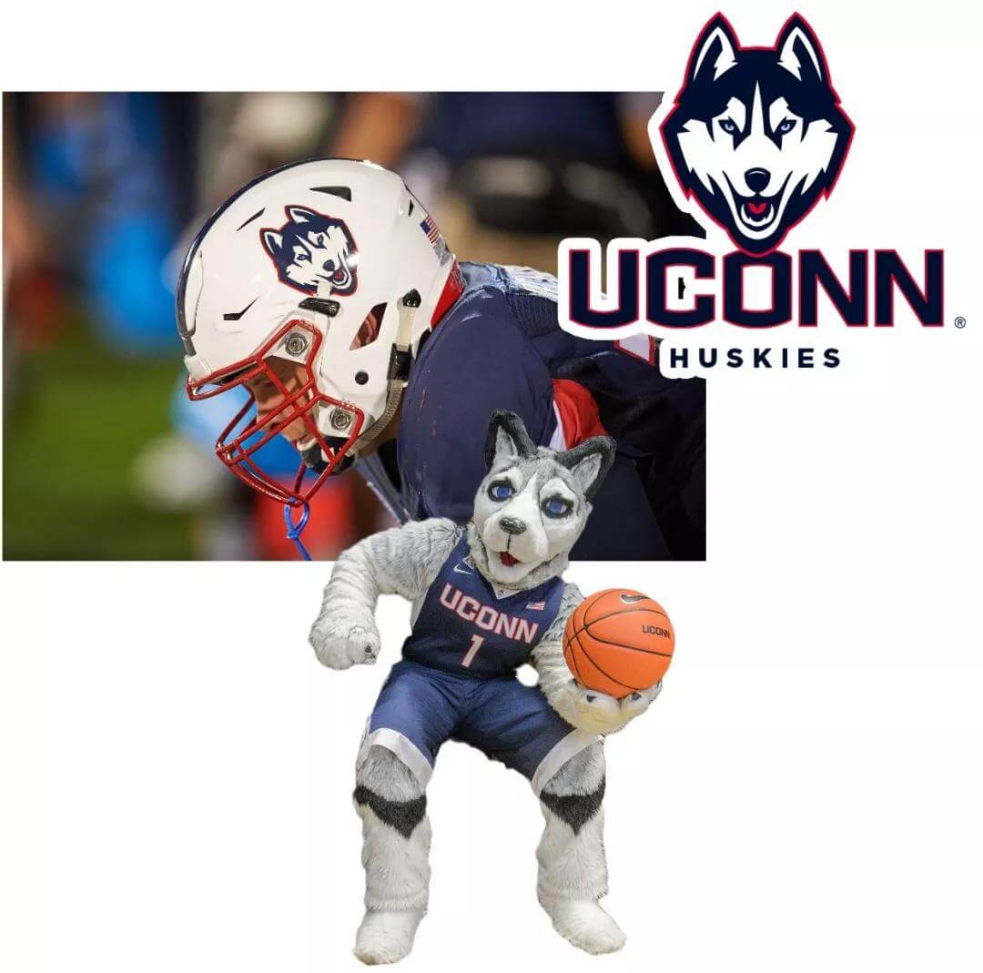 University of Connecticut mascots husky pic5.jpg