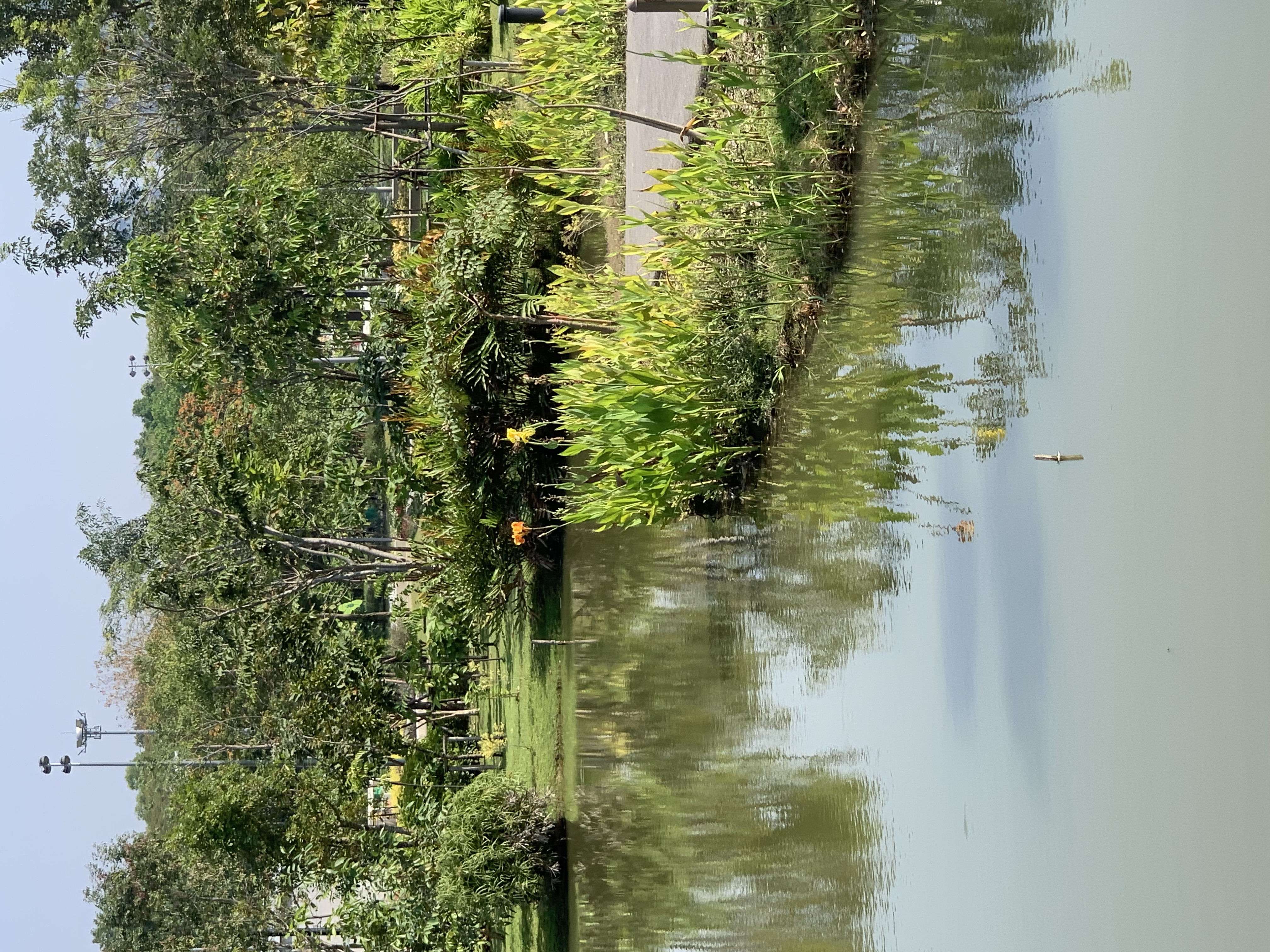 Queen Sirikit Park112.jpg