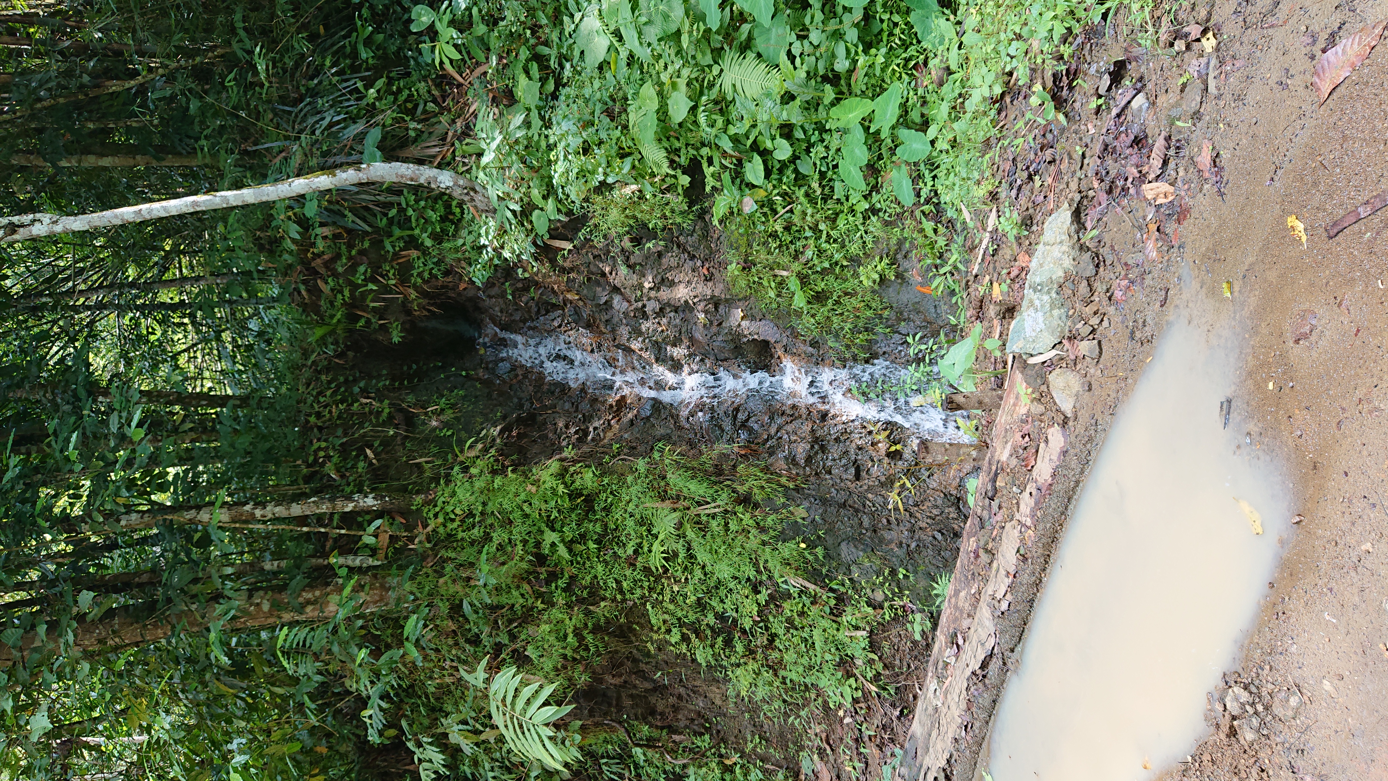 DSC_0188.JPG