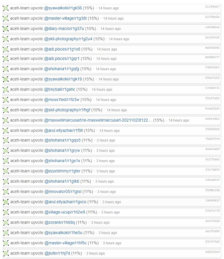 CURATION ACEH-TEAM.png