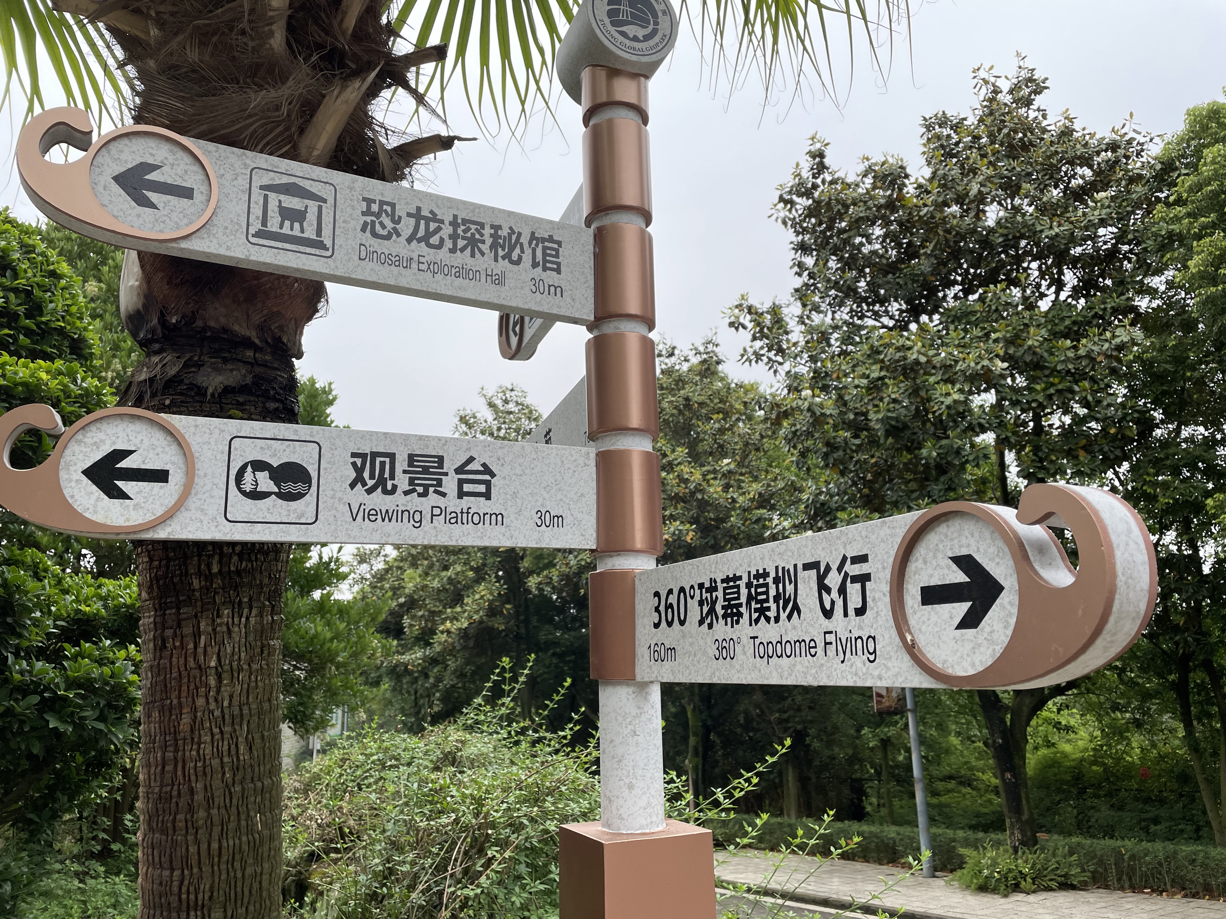 D764E78A-7319-4207-B32C-AAB360A83AA3.jpeg