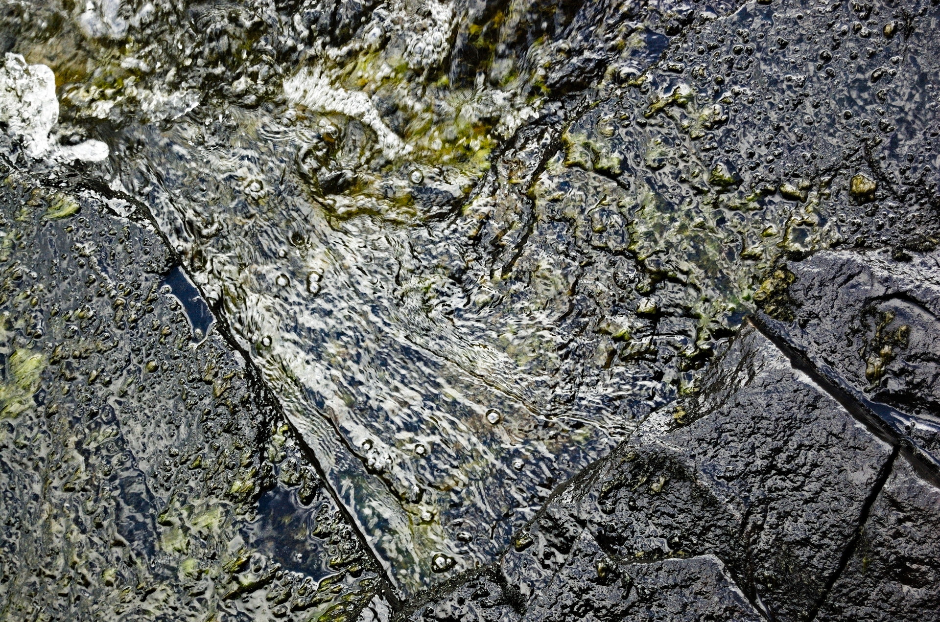 DSC_2161.jpg