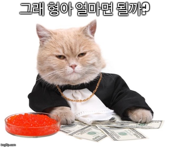 46057886-1620-47EE-949C-79399E91D04A.jpeg