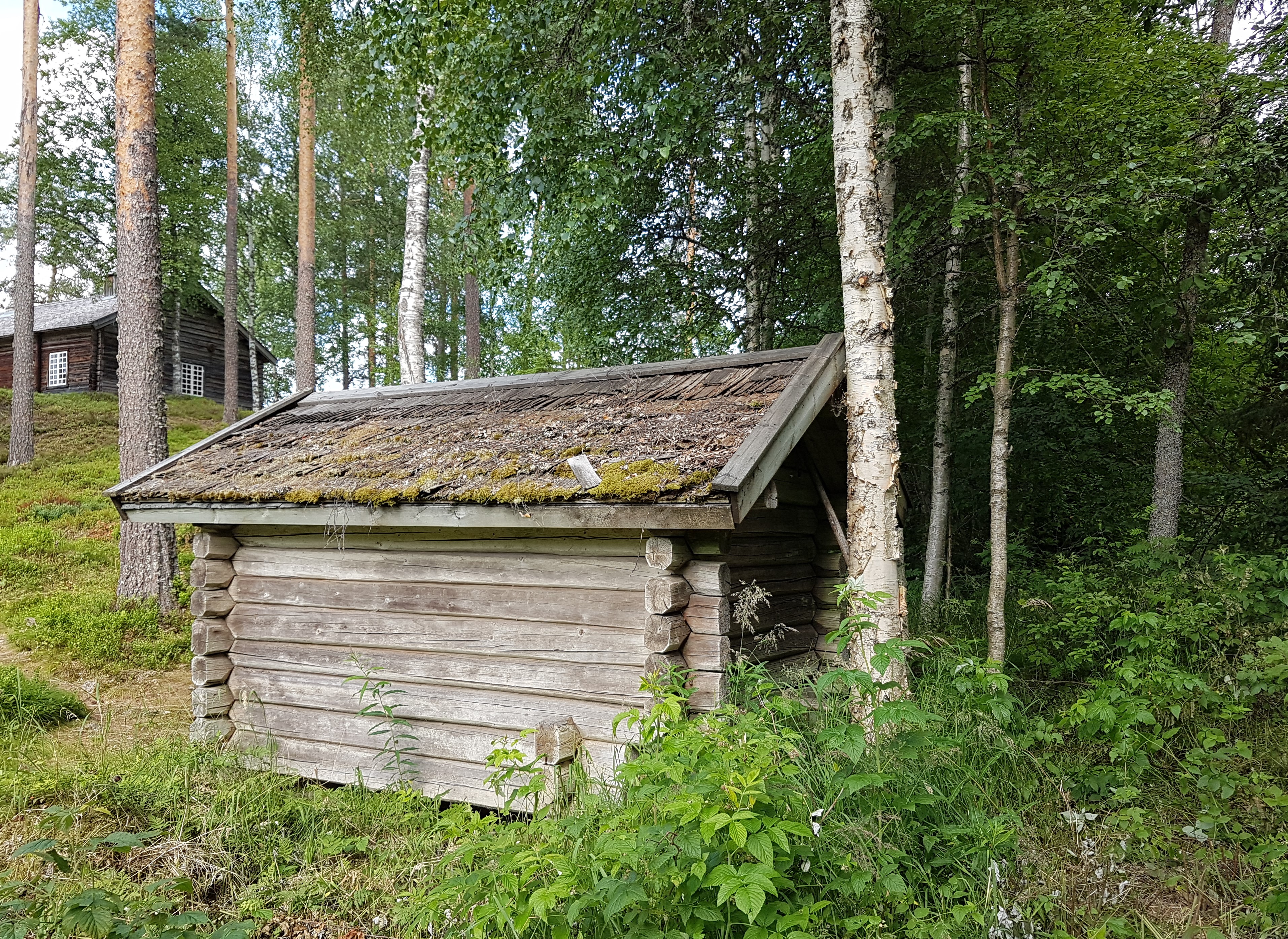 20220718_163353.jpg