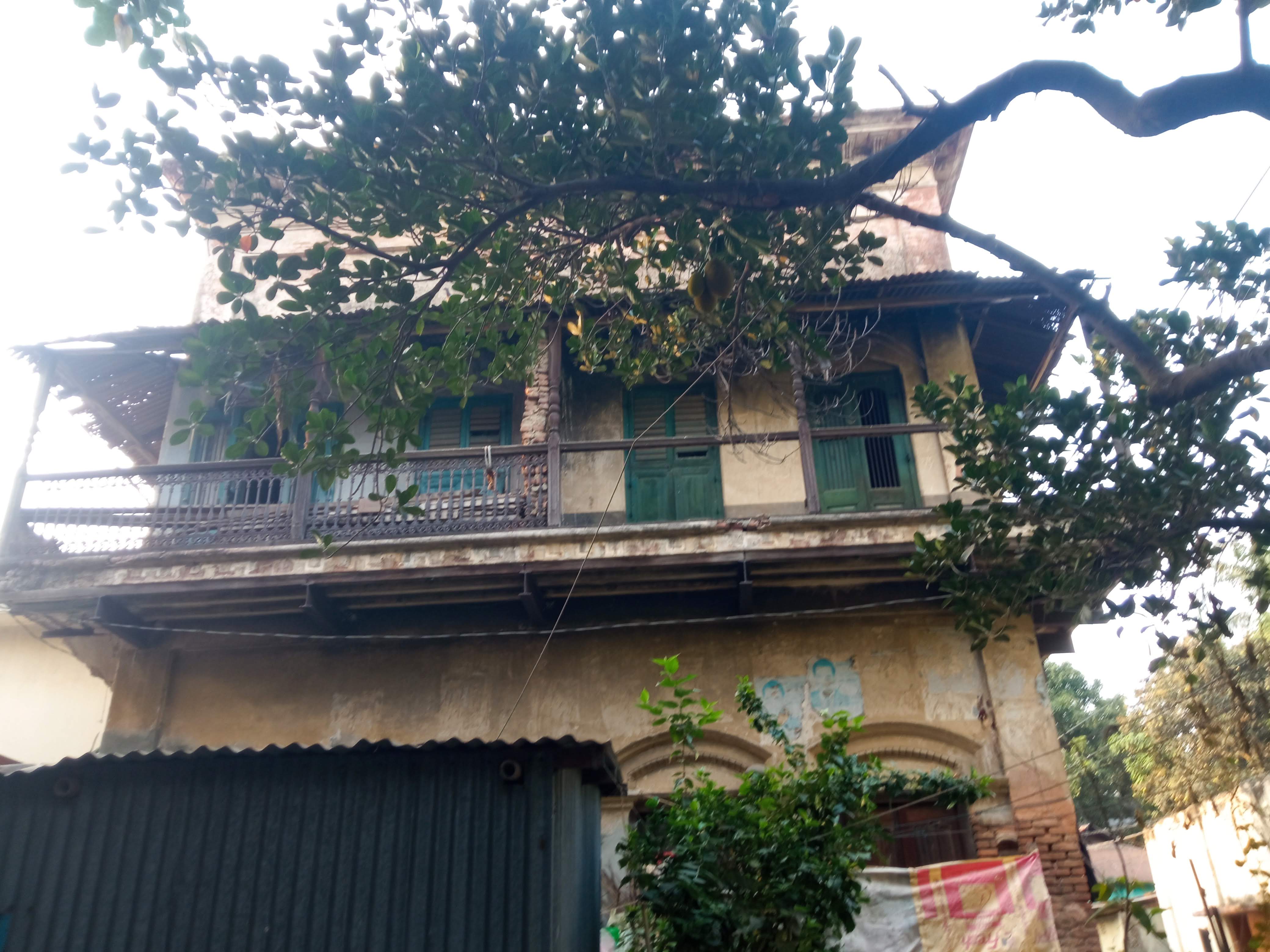 birulia (2).jpg