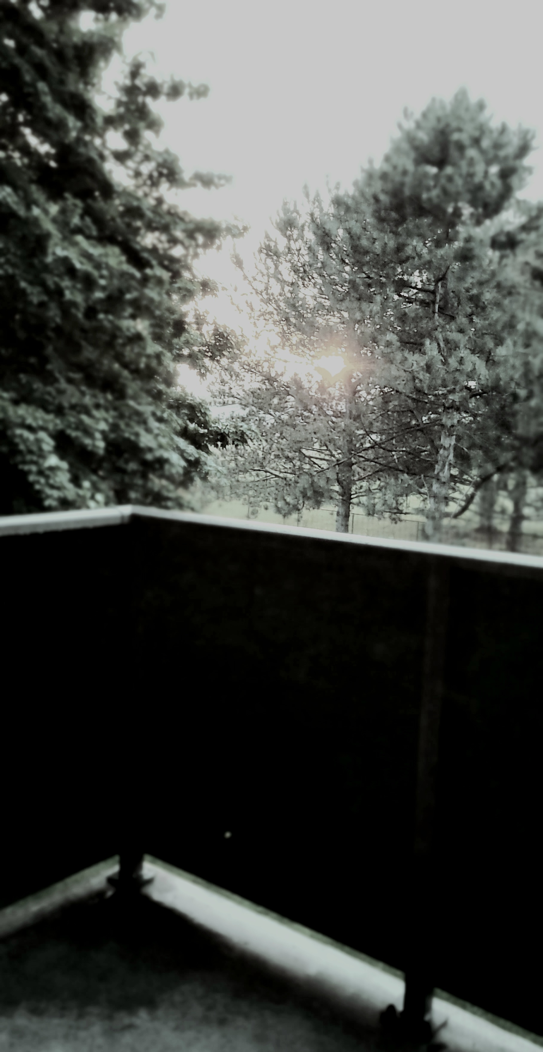 20220527_203055.jpg