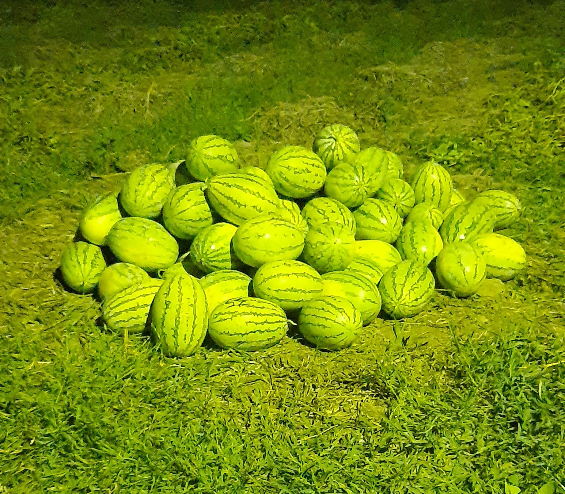 20220717_193910.jpg