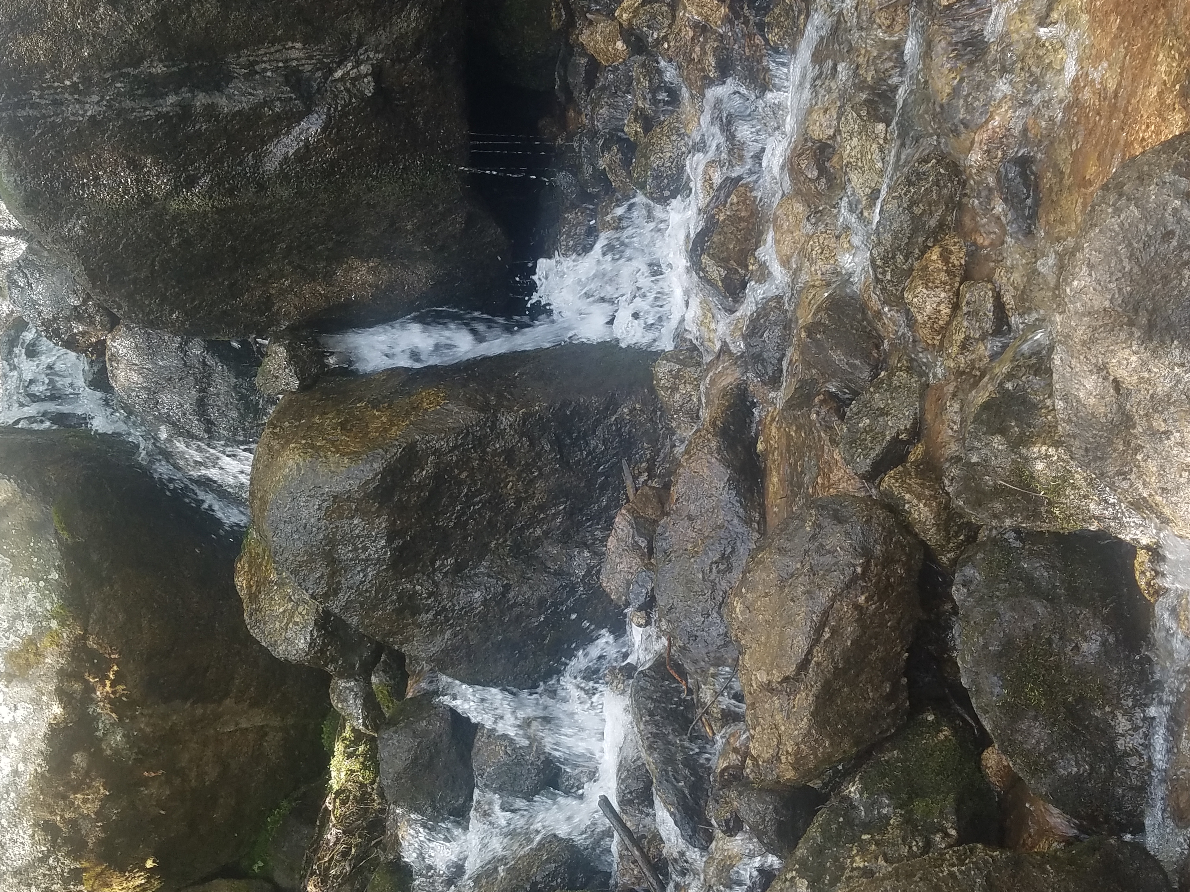 20180522_095344.jpg