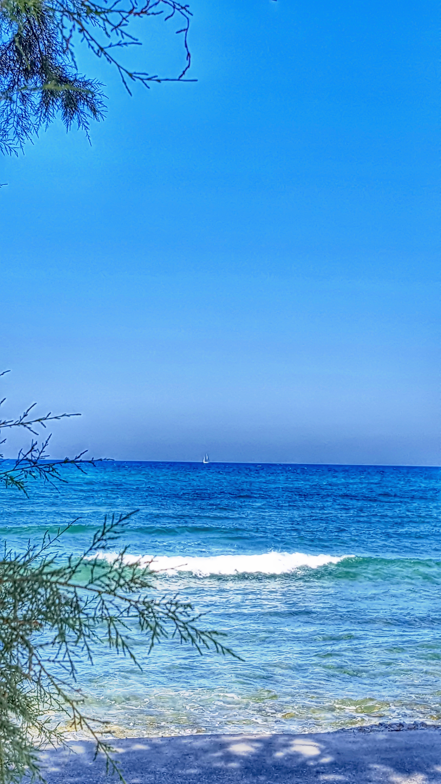 20190903_144510.jpg