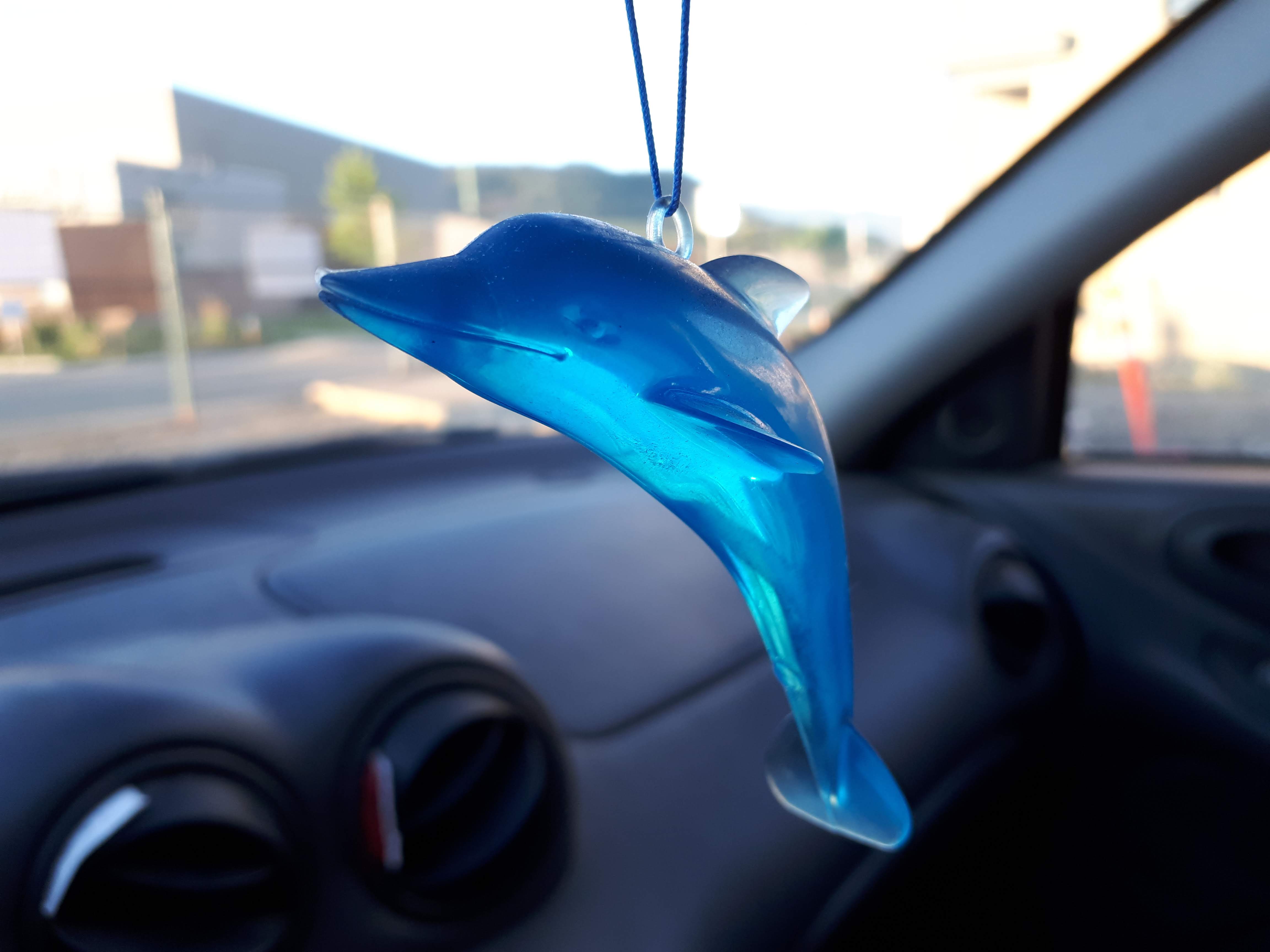 20180711_054935.jpg