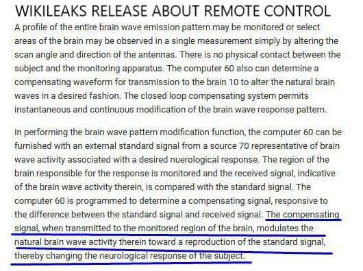 wikileaks (1).jpg