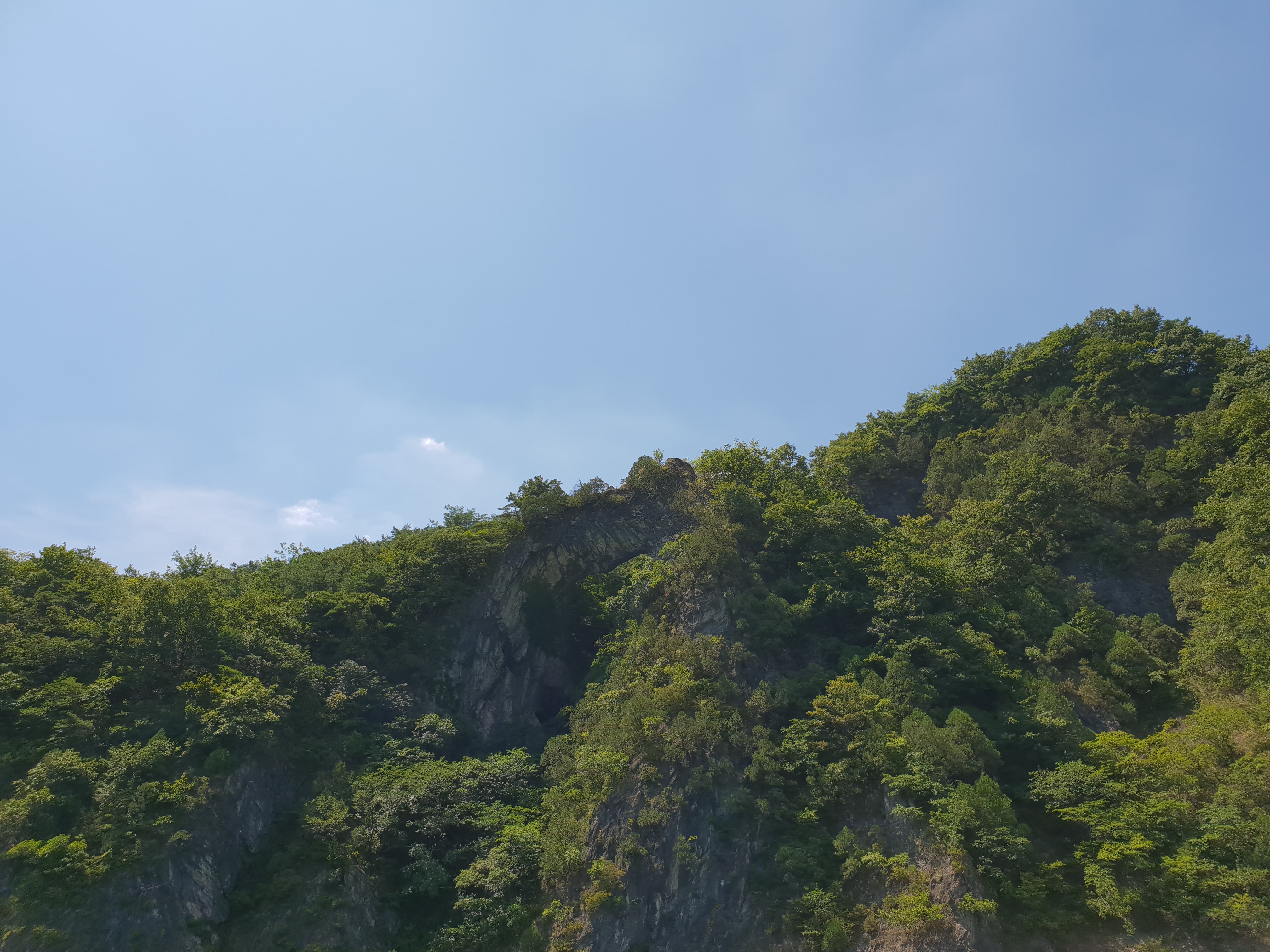 20180802_134806.jpg