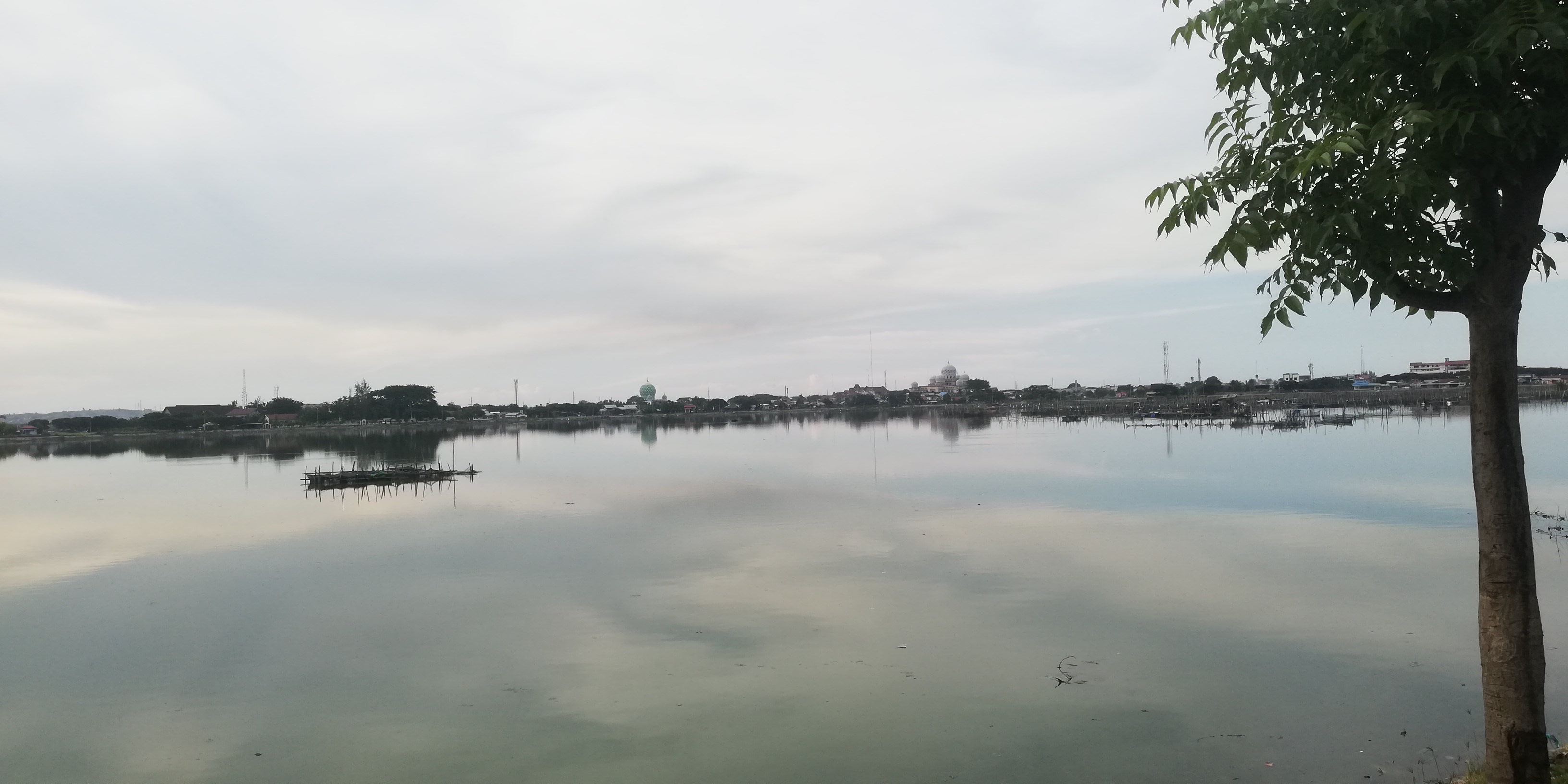 IMG_20211010_171853.jpg