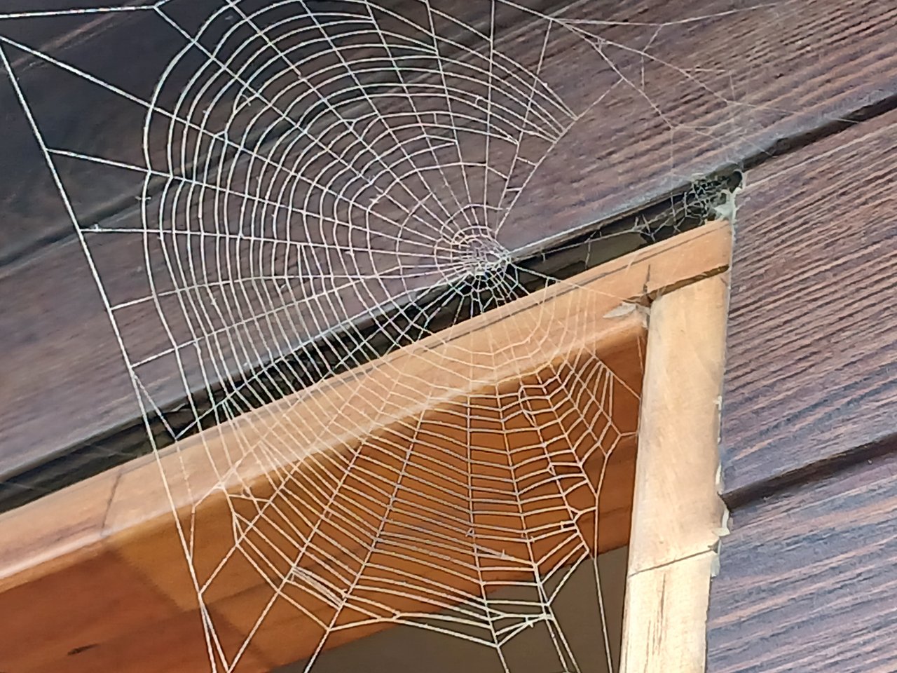 17523690229247122630598766167912.jpg