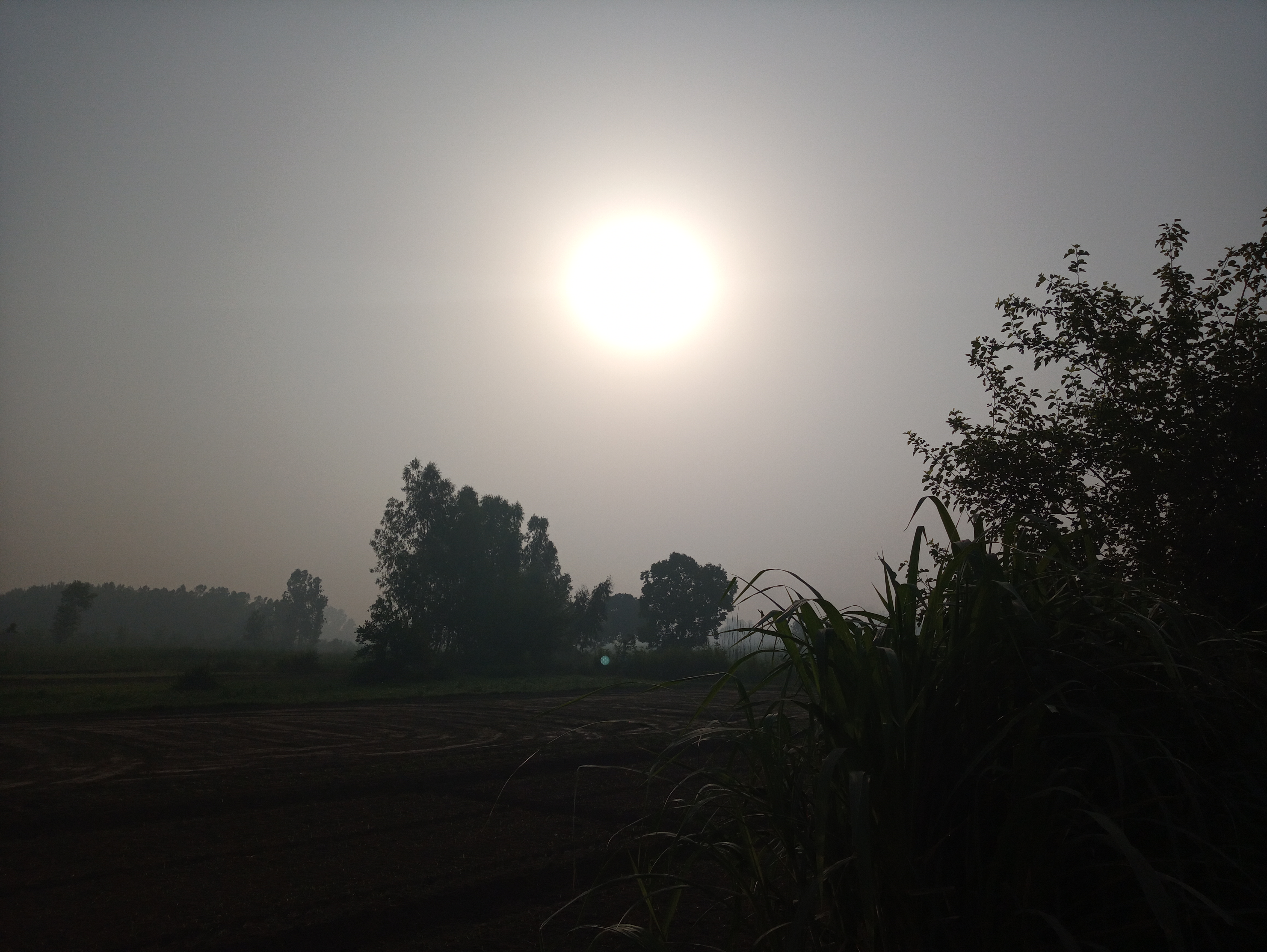 20200524_070657_HDR.jpg