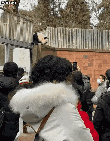 40996257e53dc1f058d65fc4318872c0.gif