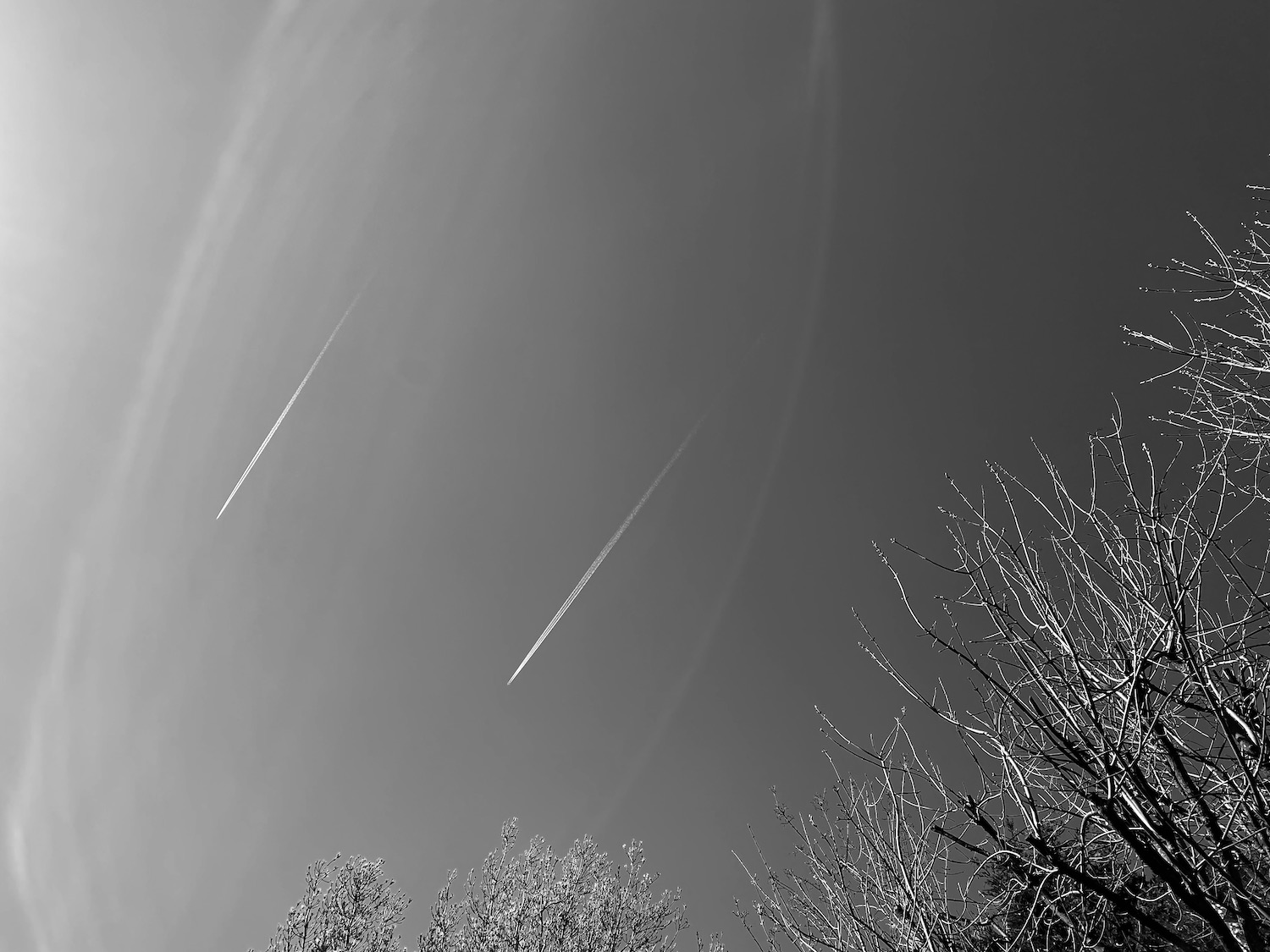 IMG_5589.jpeg