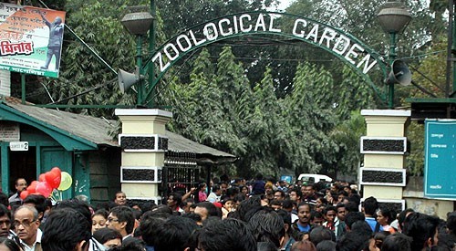 zoo.jpg
