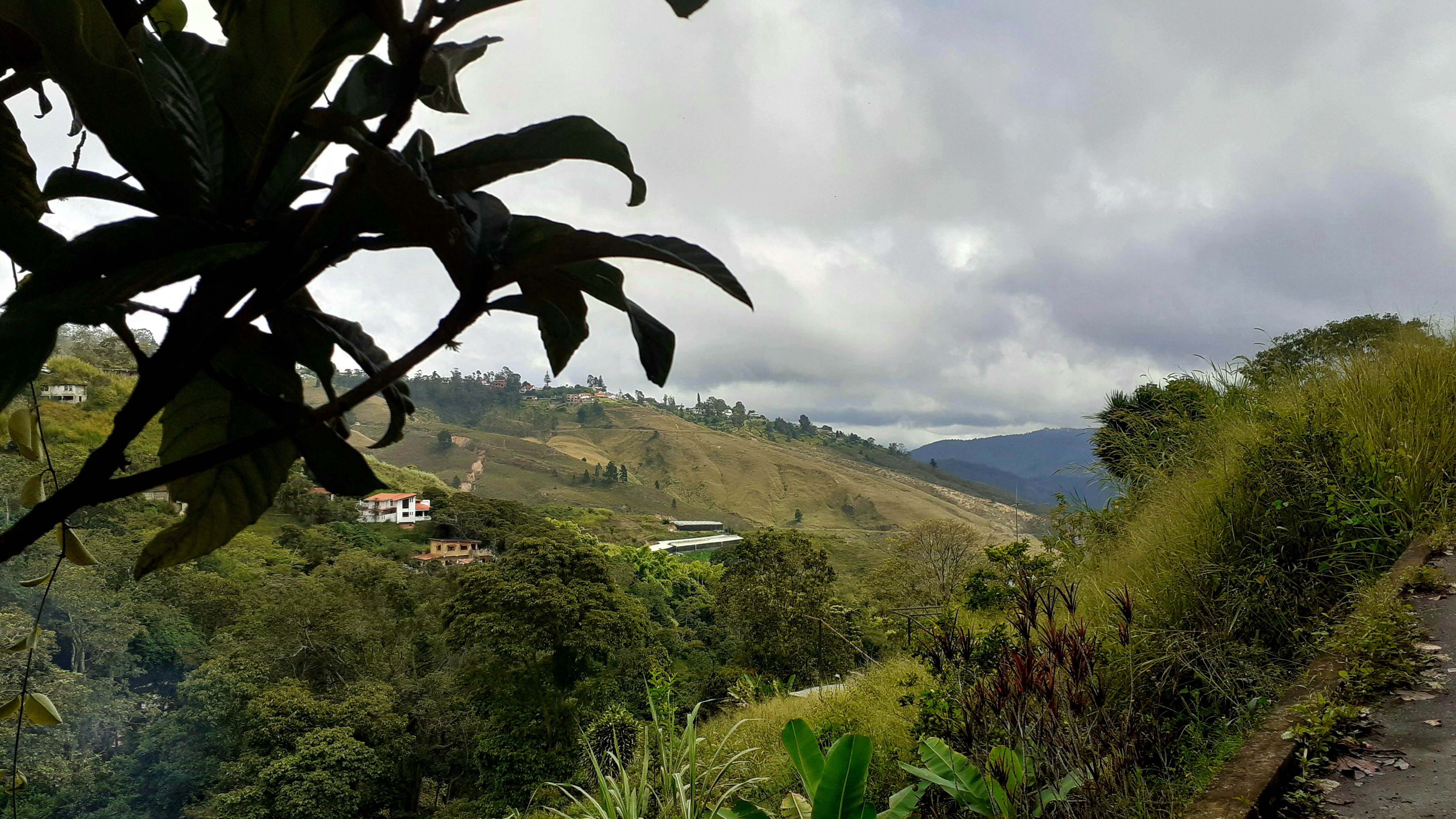 20201101_151204.jpg