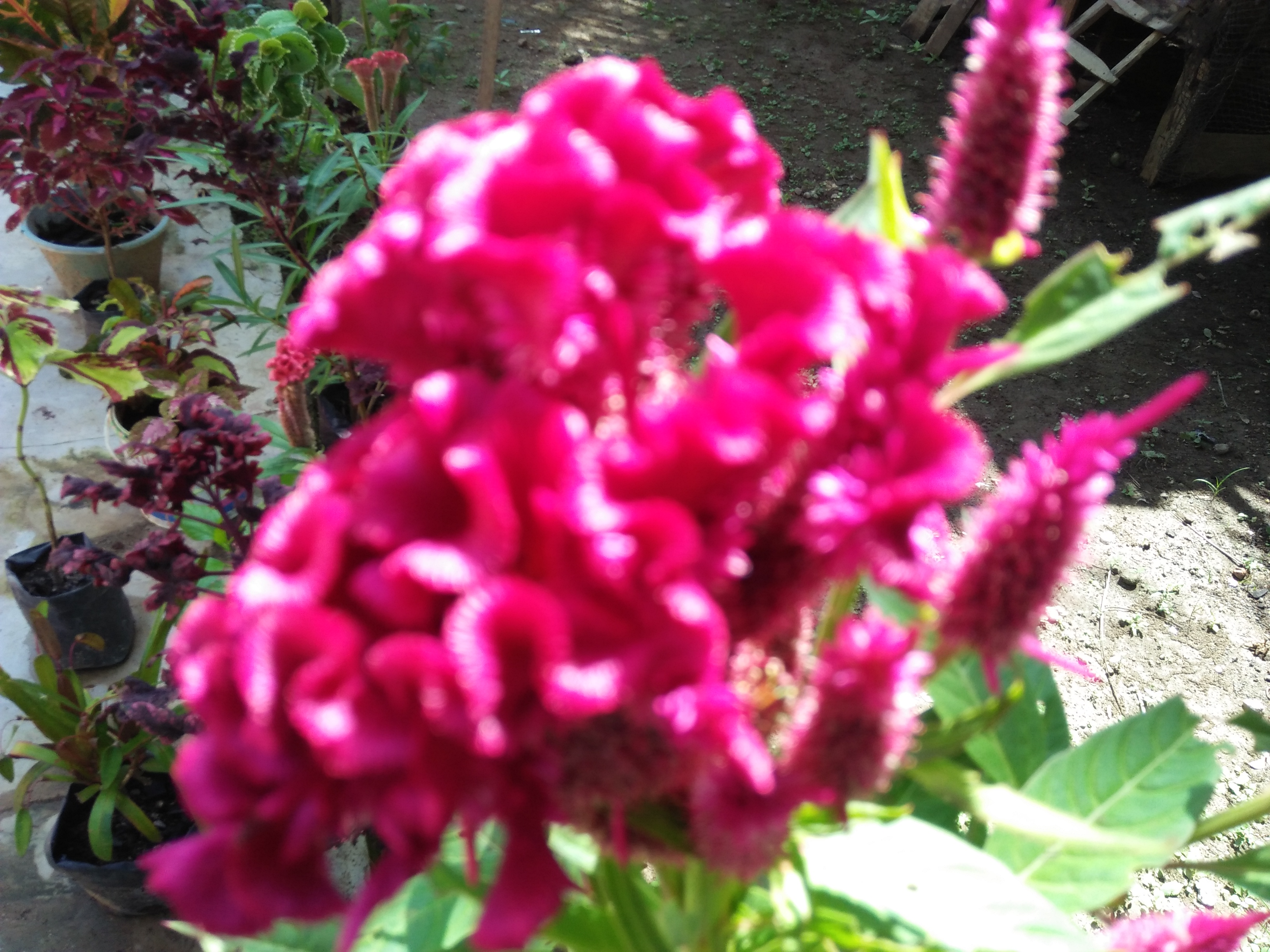 IMG20210627144059.jpg
