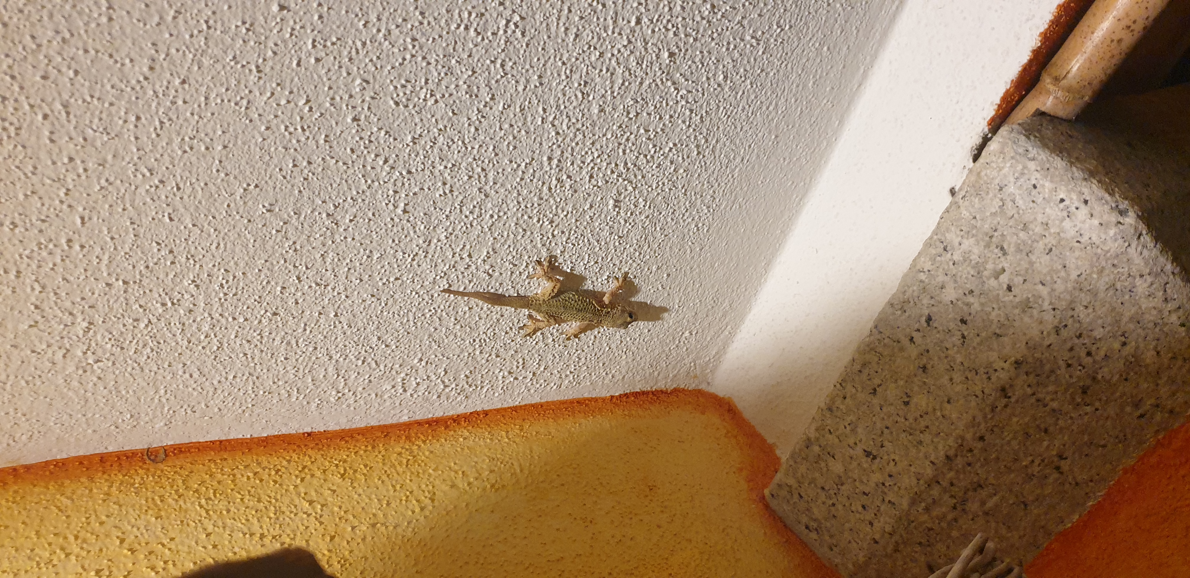 20220905_223907.jpg