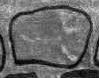 win hol grey detail.jpg