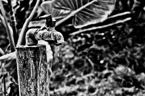 DSC_6106tb.jpg
