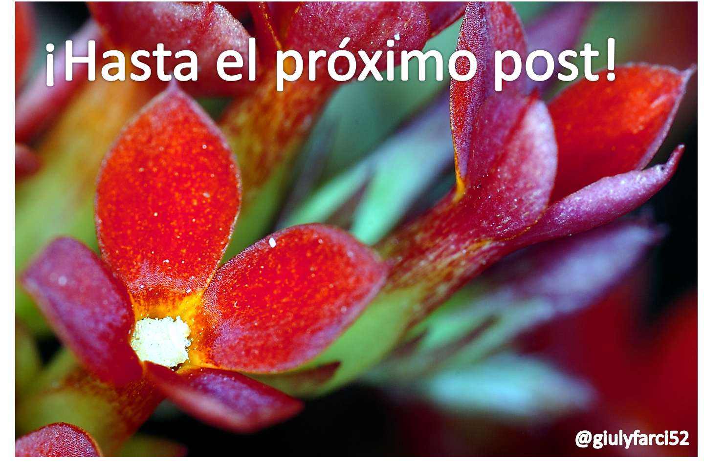 FOTO 13.png
