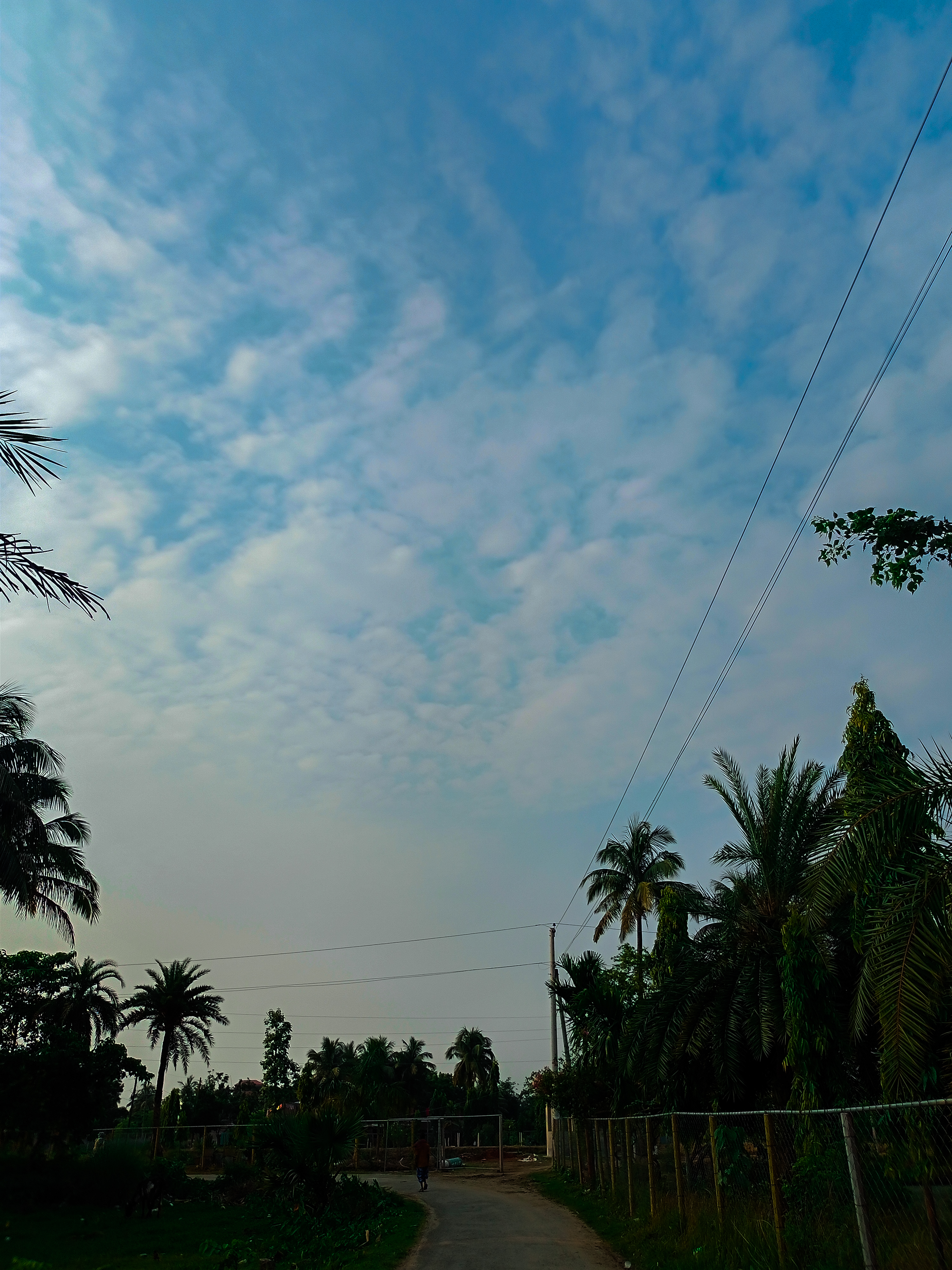 IMG20230610173212.jpg