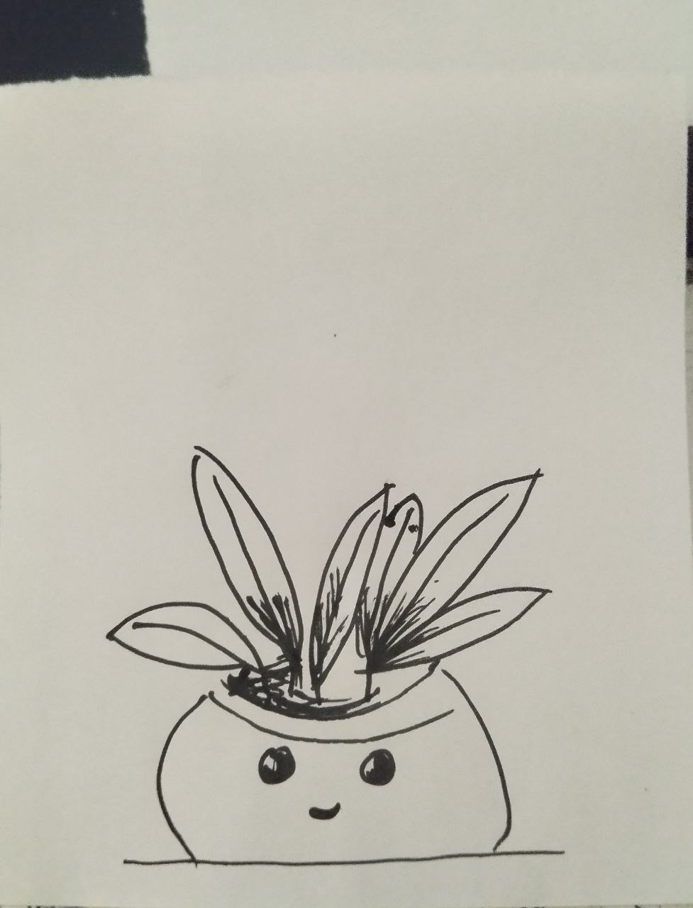 flowerpot.jpg