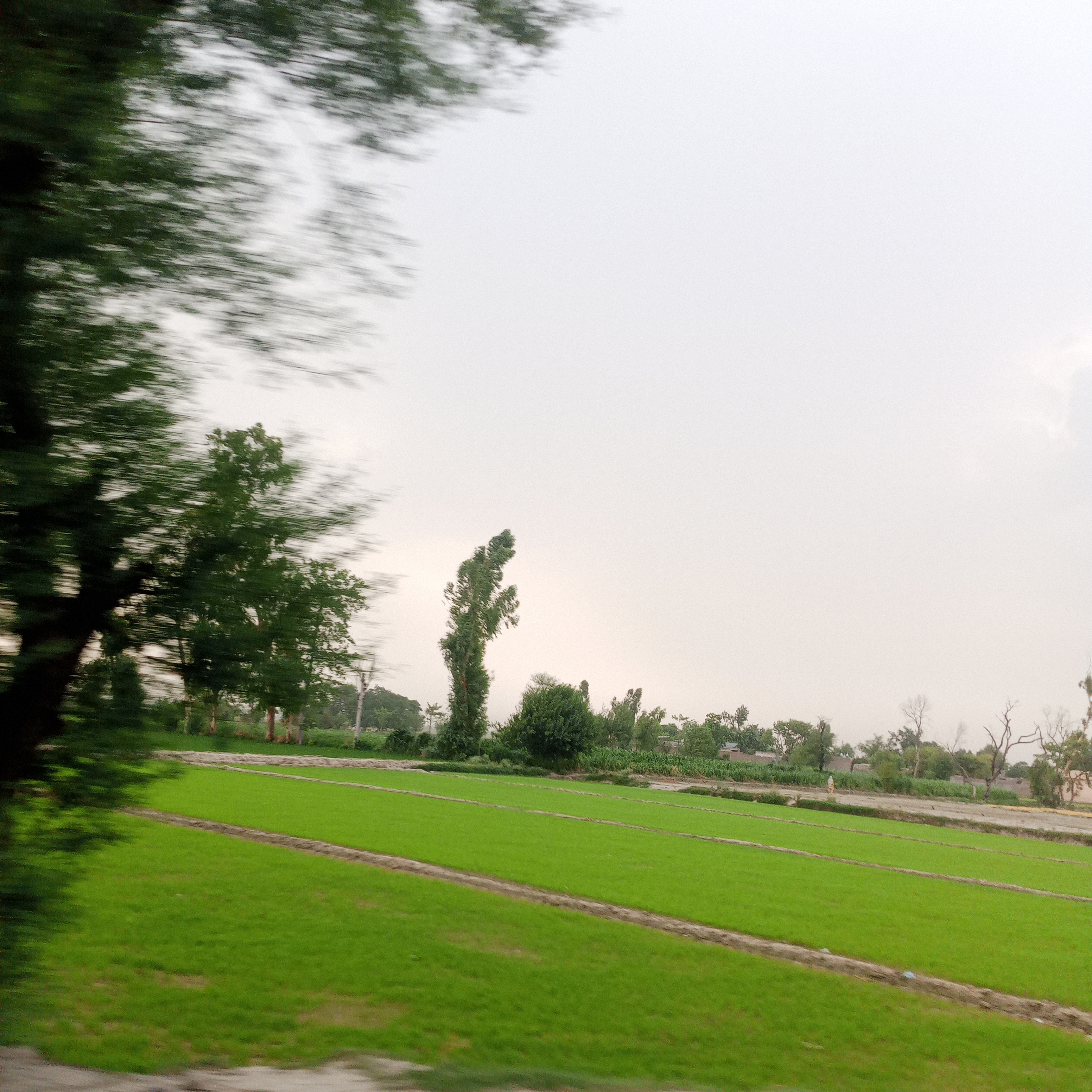IMG_20260624_172725_174.jpg