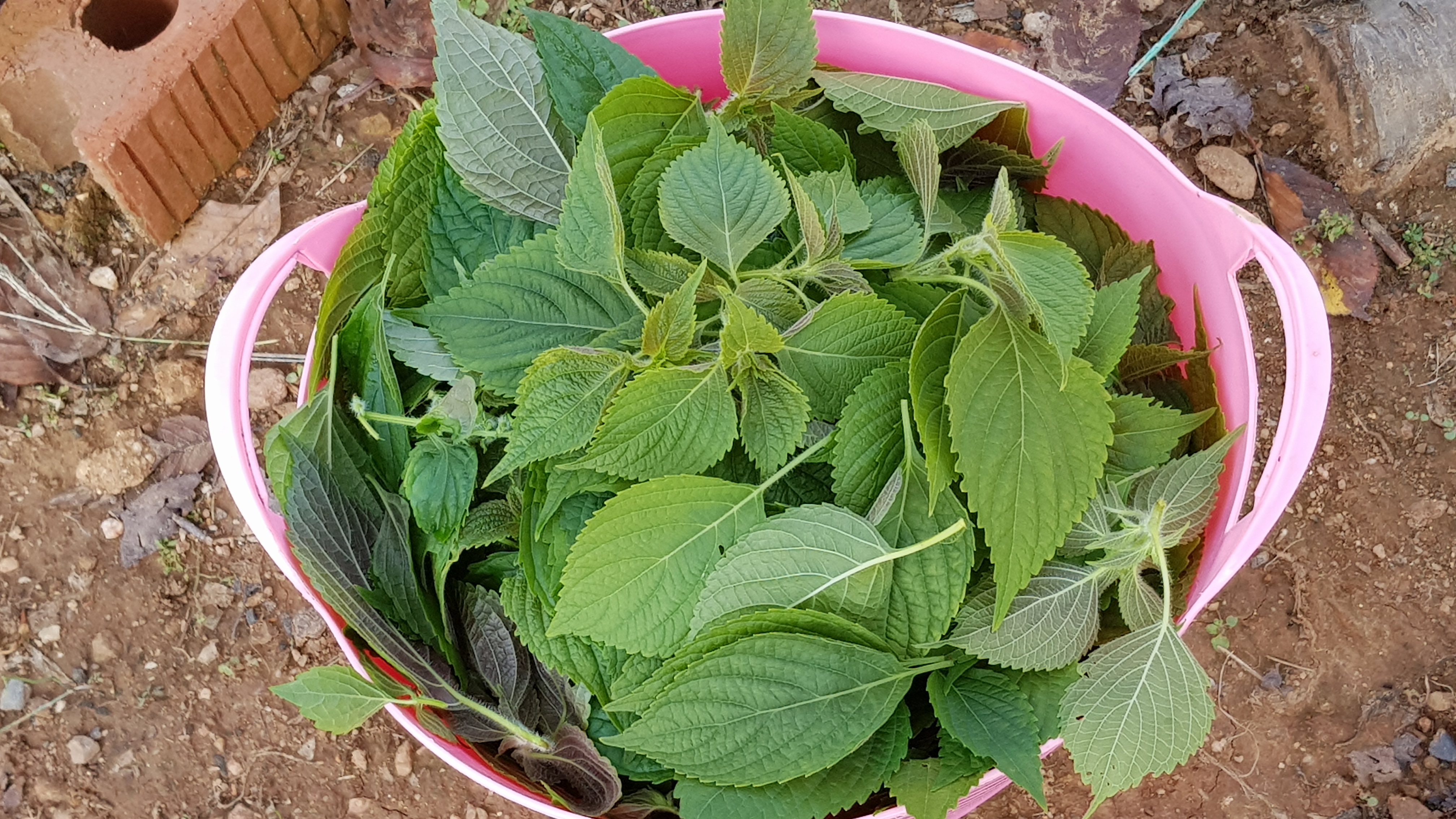 20181014_103157.jpg