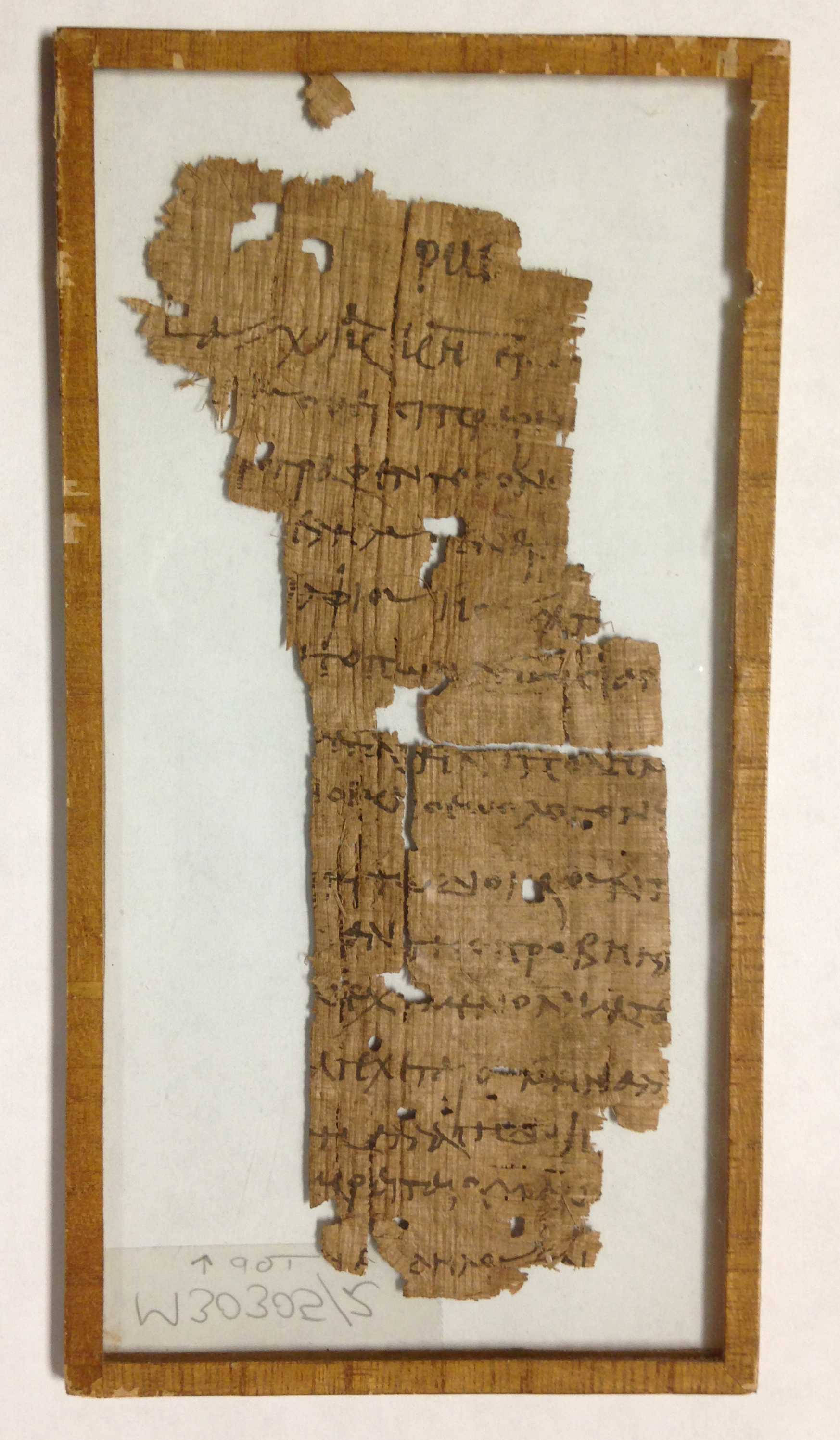 papyrus.jpg