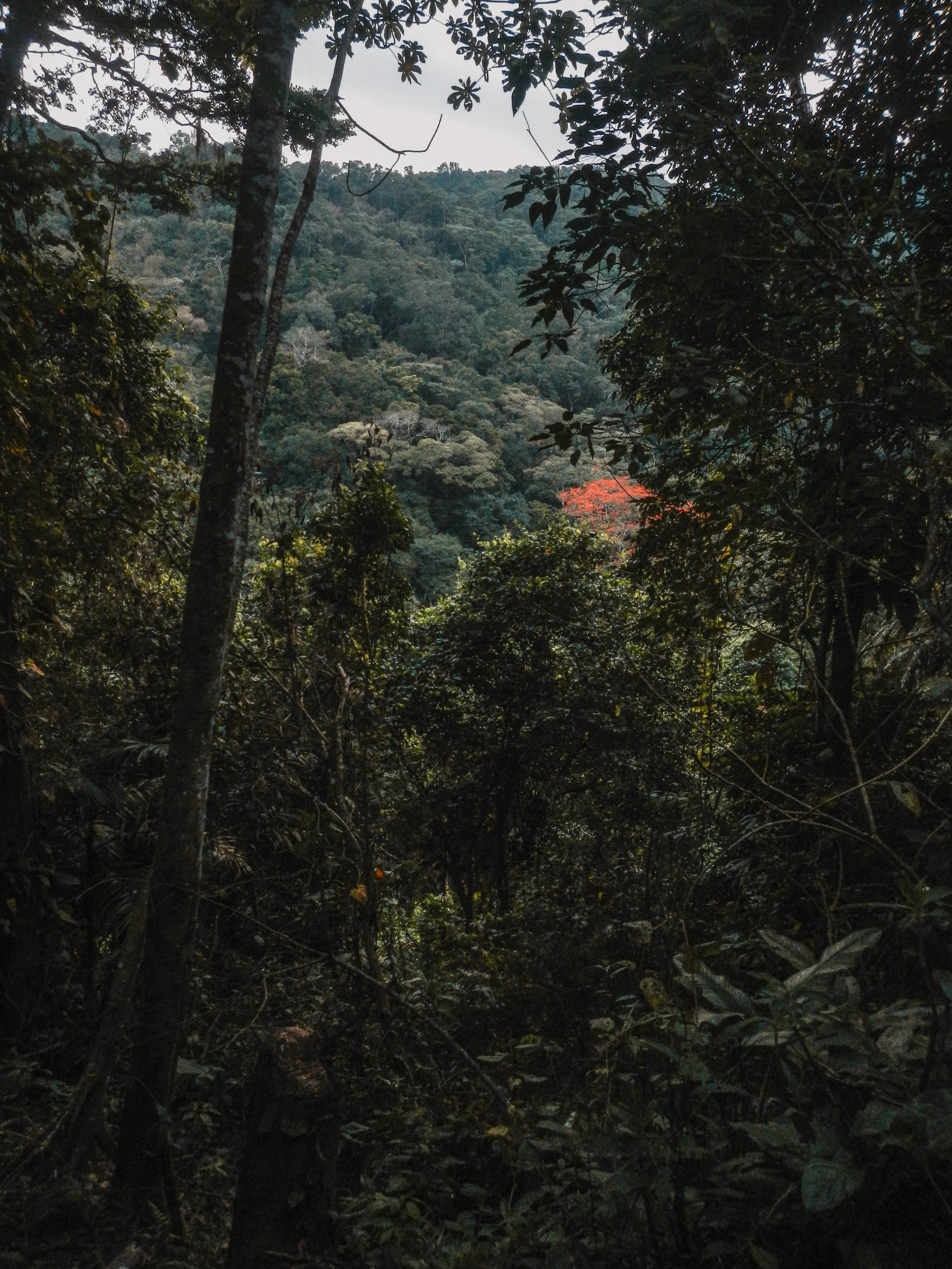 DSCN1025.jpg