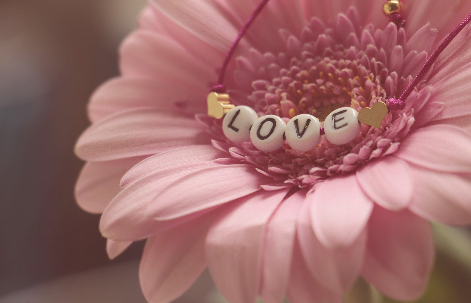 love-3388622_1920.jpg