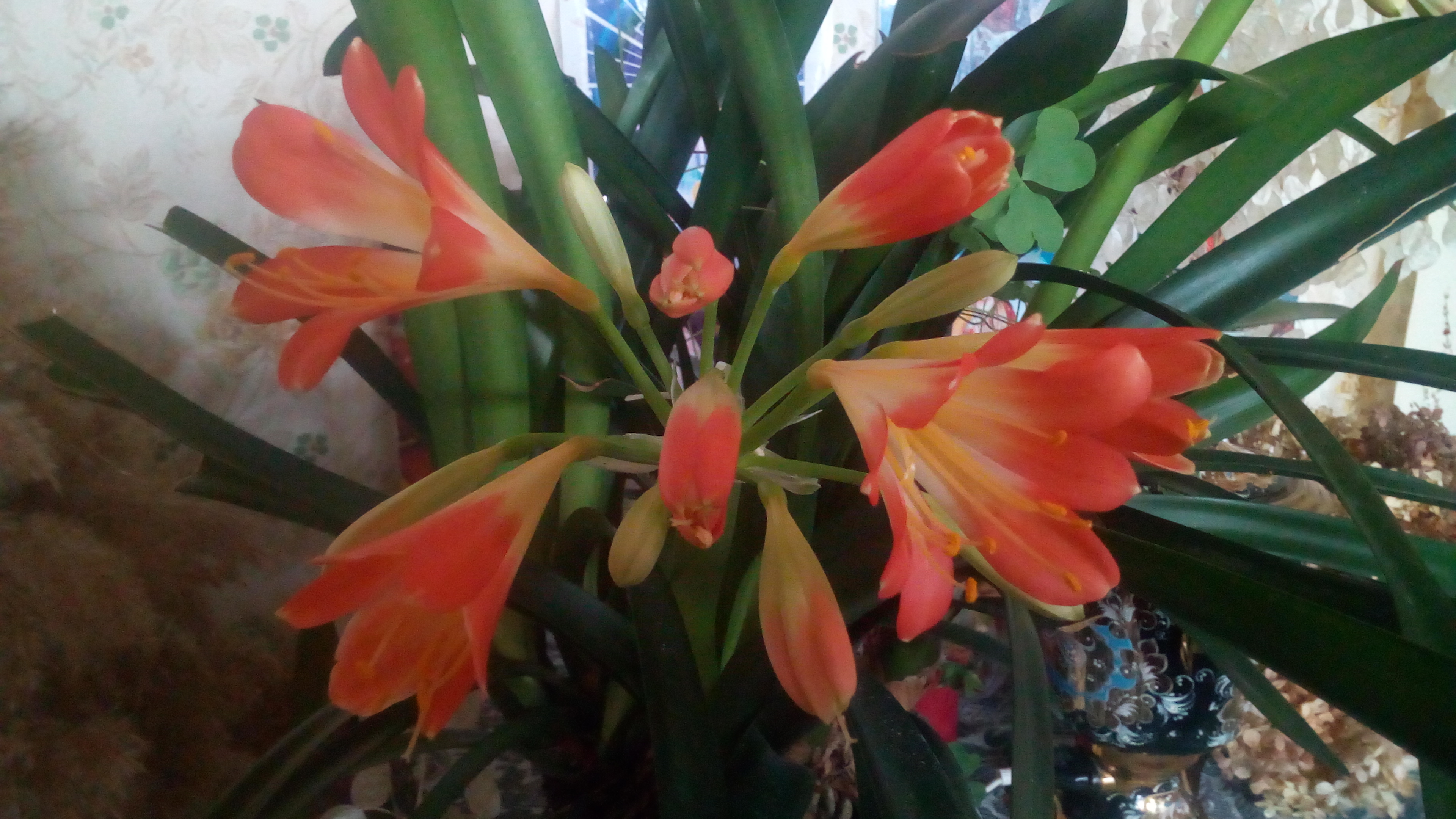 IMG_20220320_094614.jpg