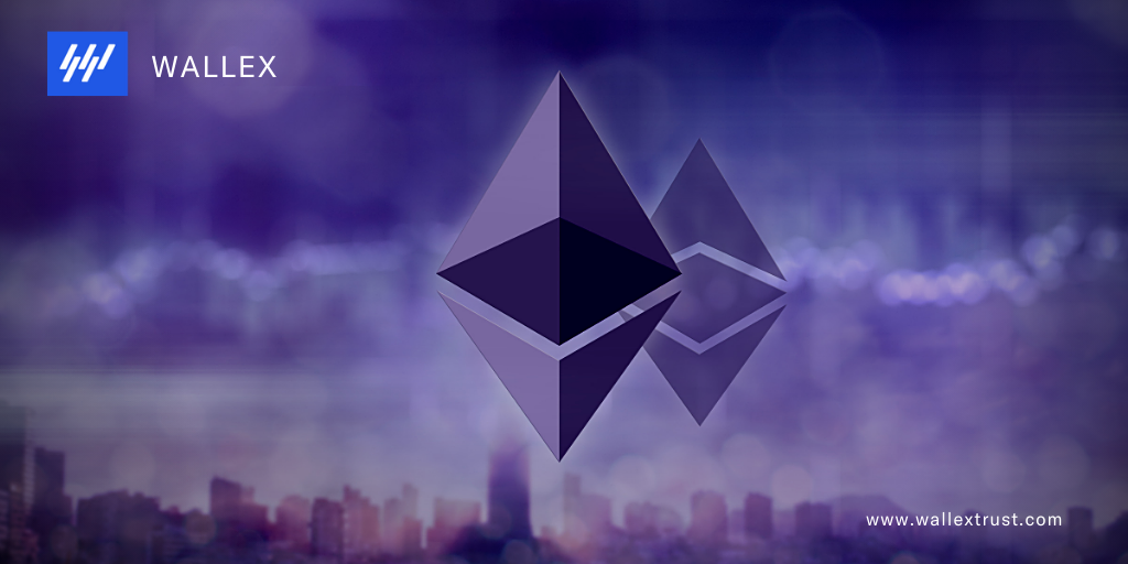 Wallex draft (26).png