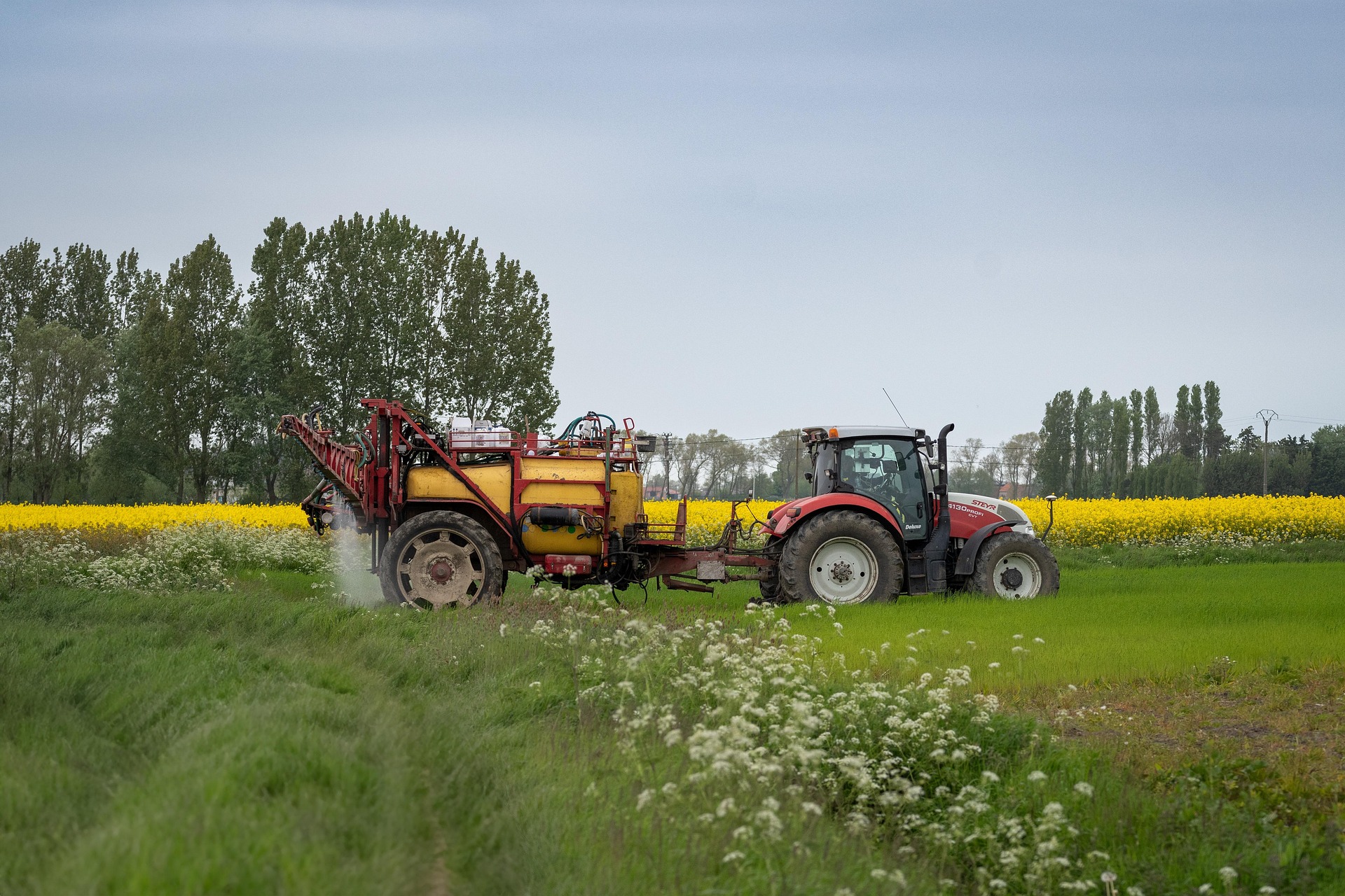 dendoktoor-agriculture-8275498_1920.jpg