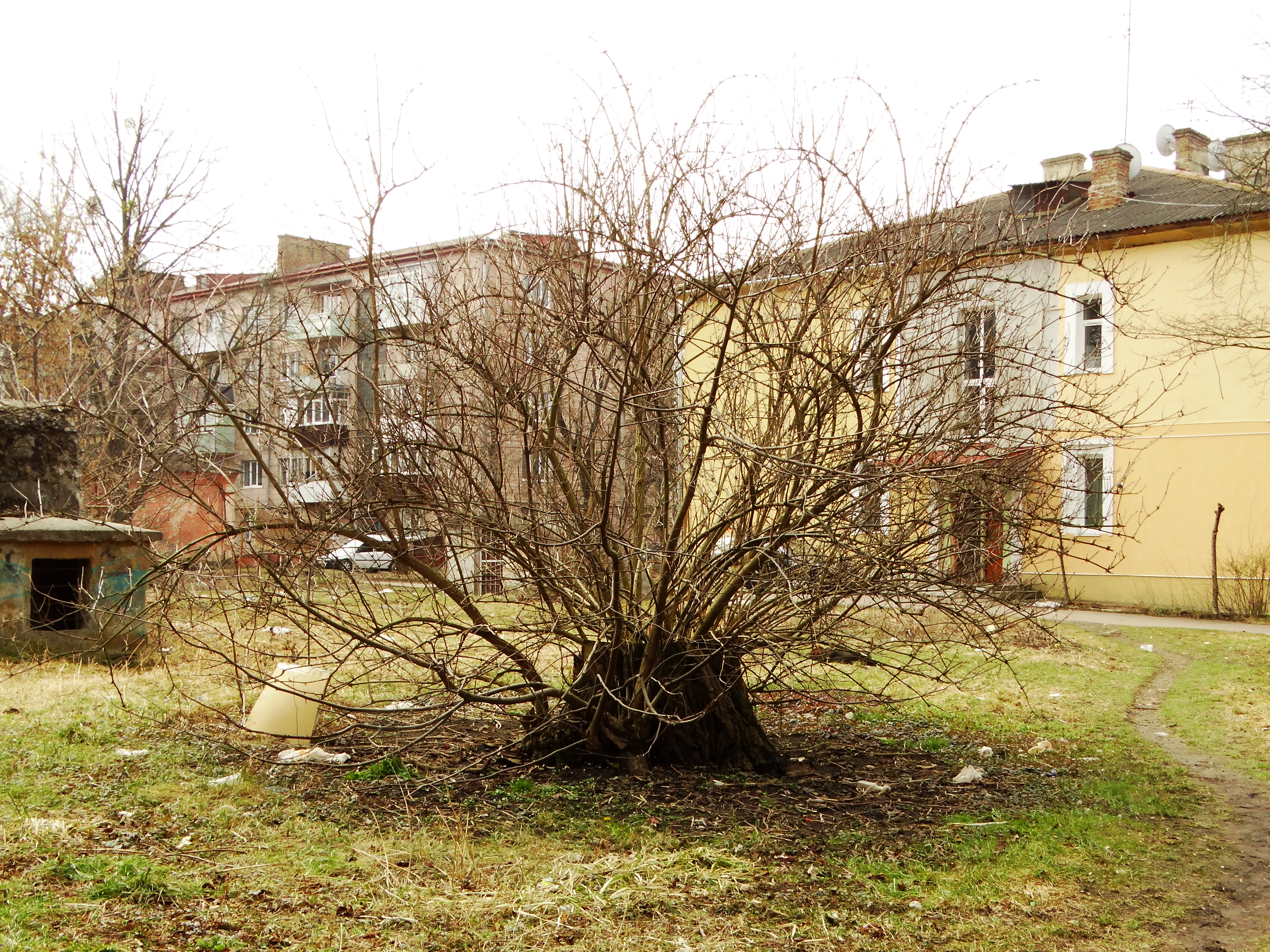 DSC01178.JPG