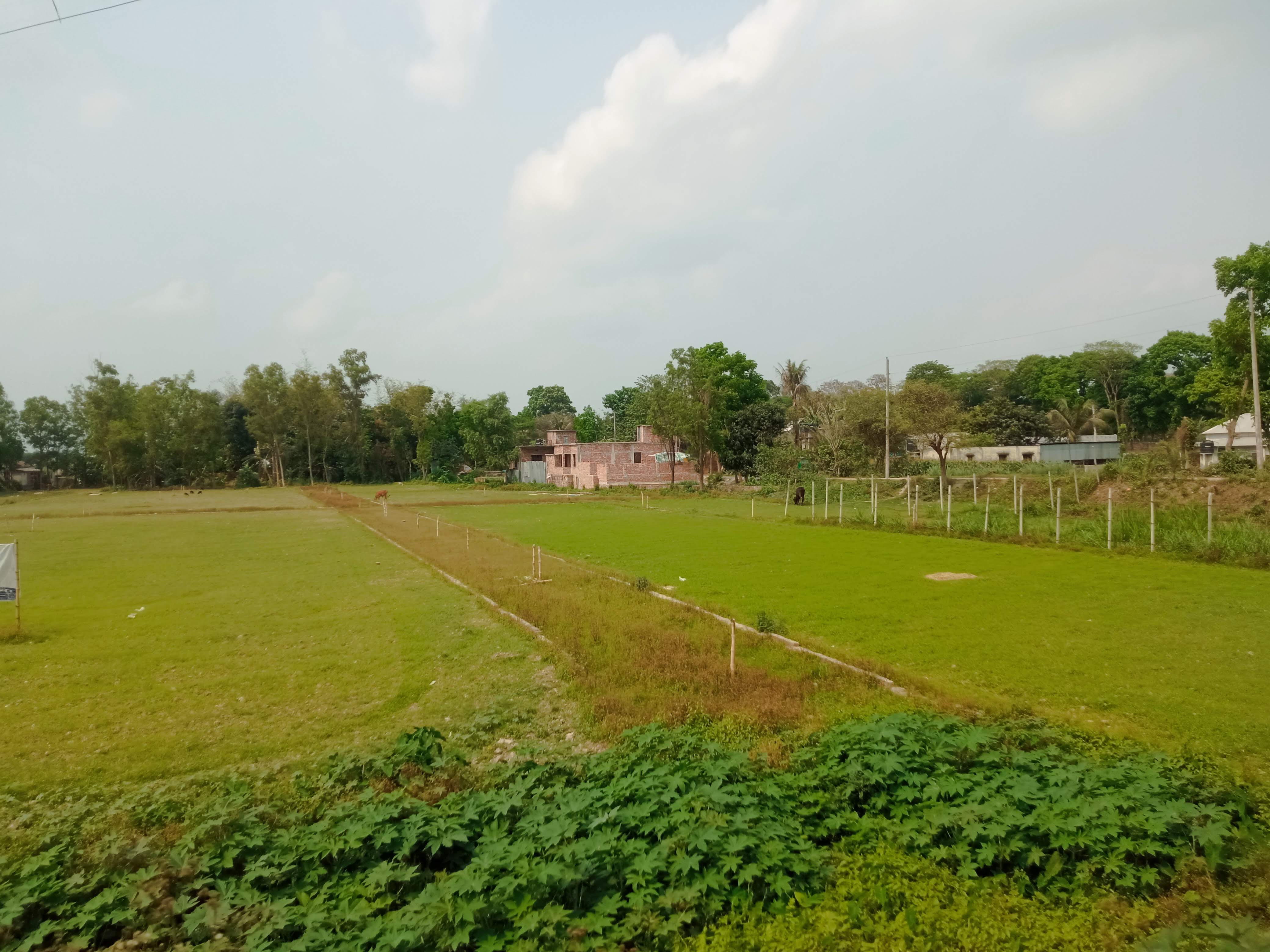 প্রকৃতি (1).jpg
