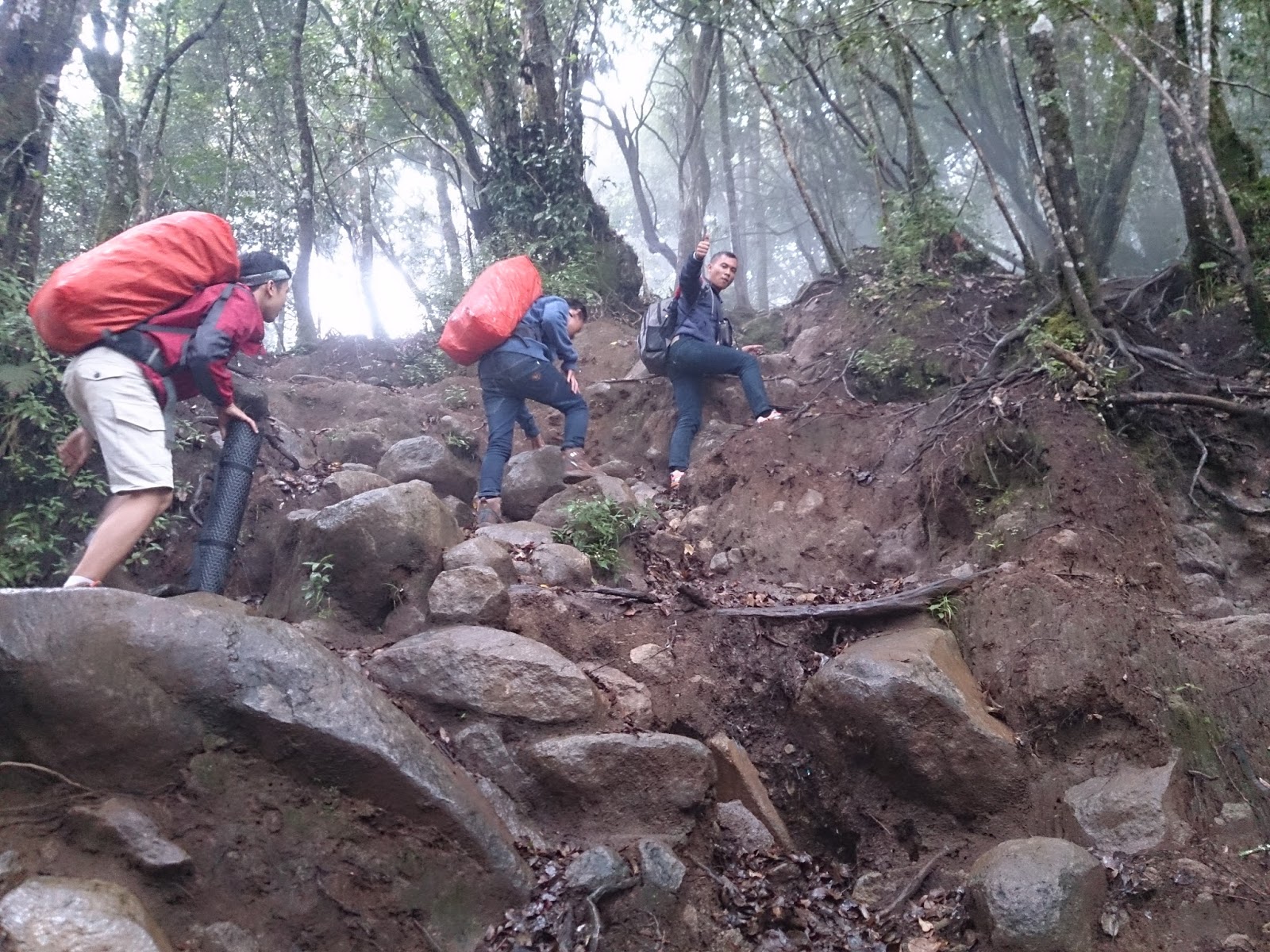 jalur pendakian gunung cikuray.JPG