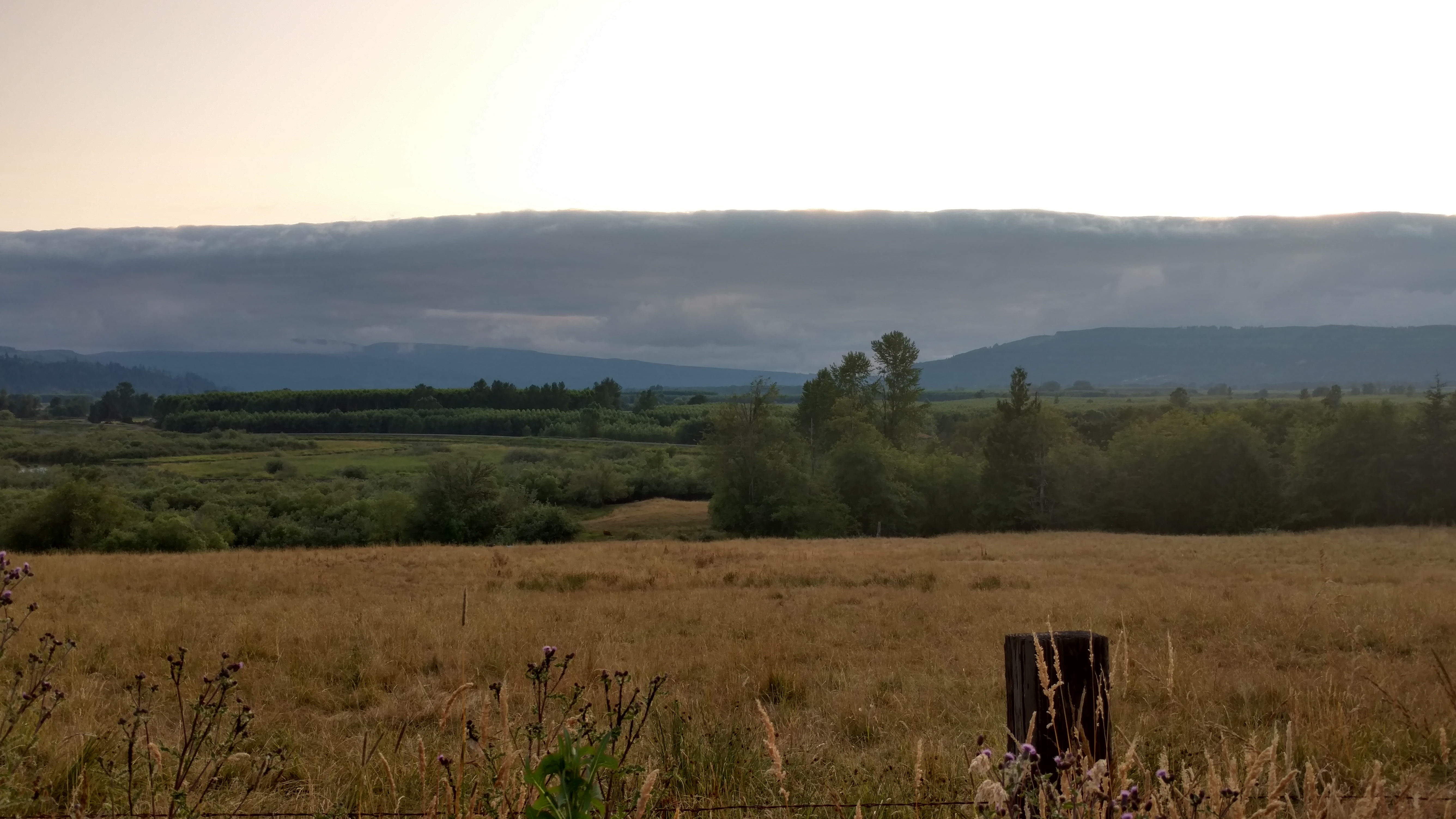 IMG_20190707_201912494_HDR.jpg