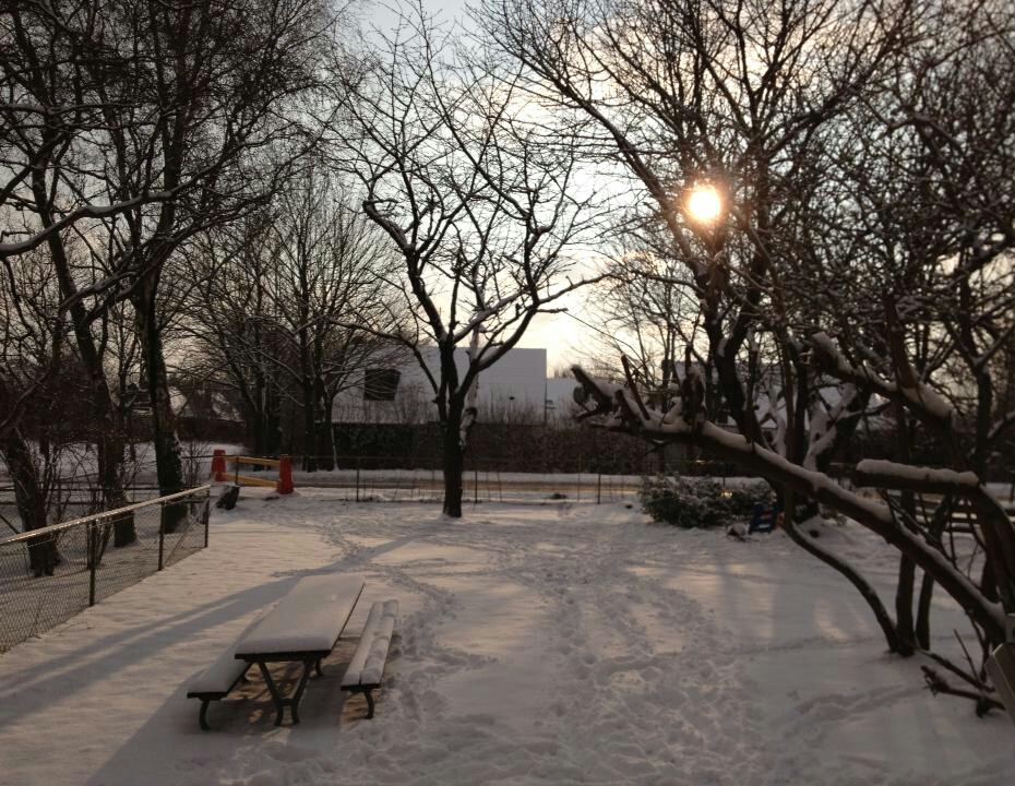 20190227_105649.jpg
