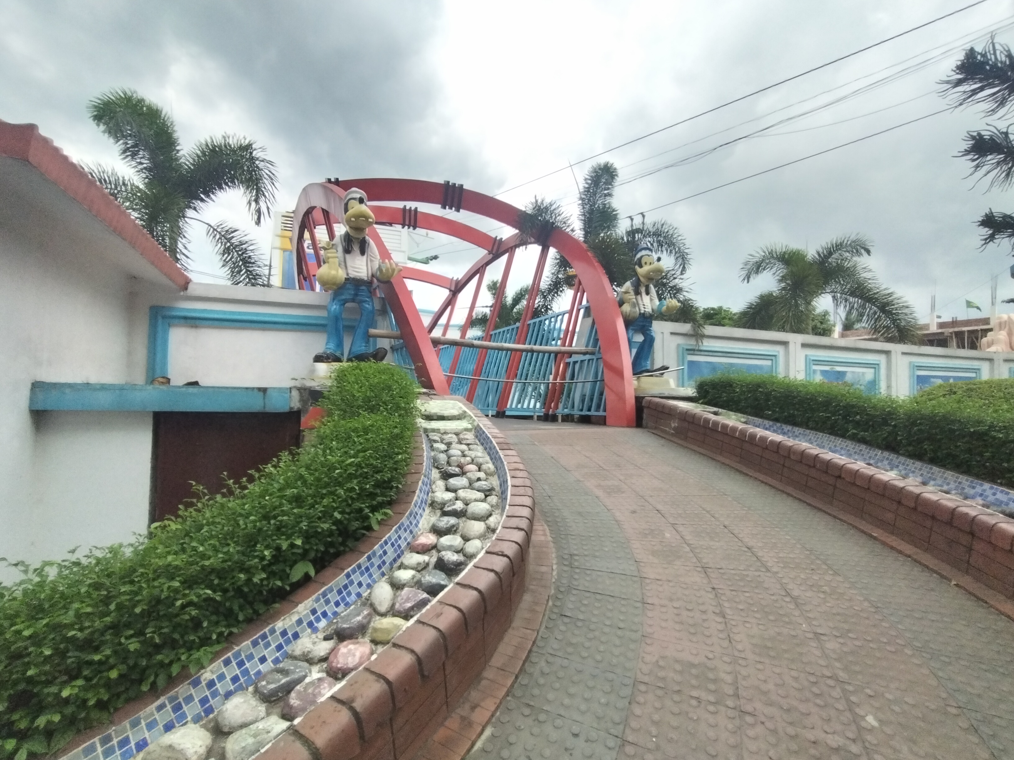 629.jpg