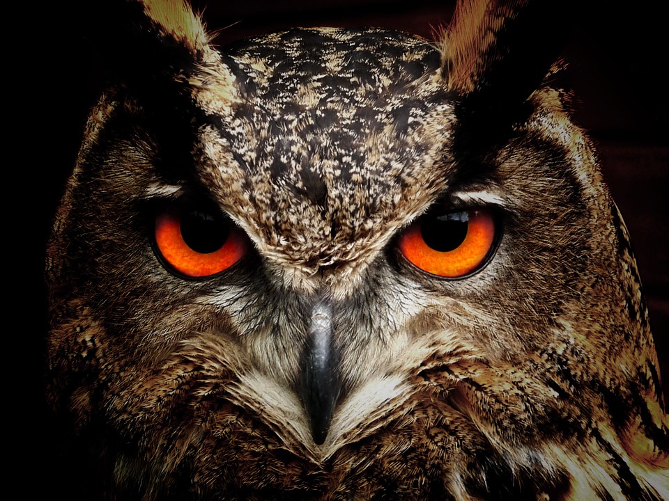 Steemit profile picture for @ghi