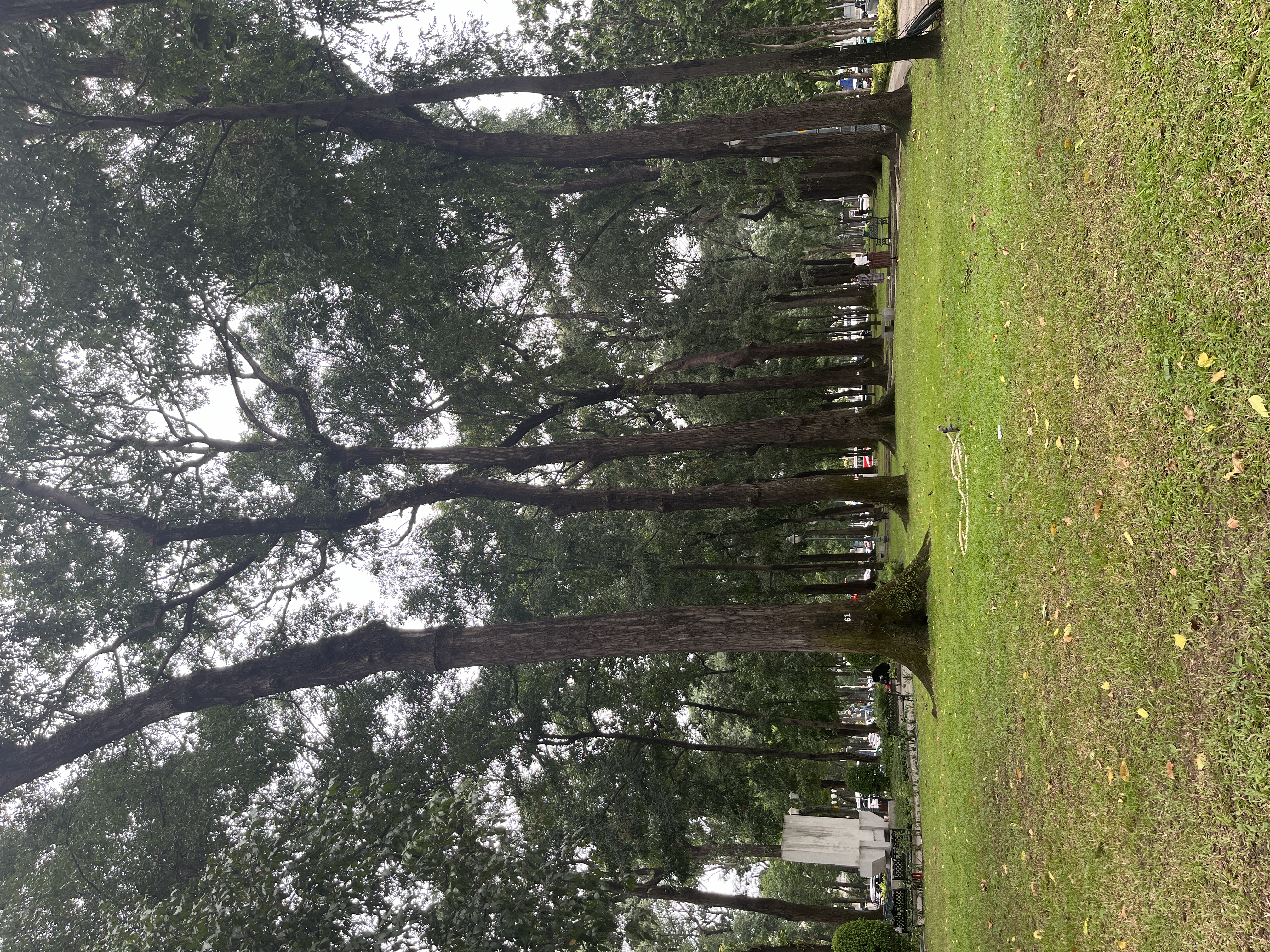 IMG_0631.jpeg