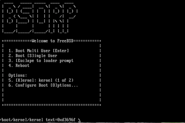 bsdrp.webp