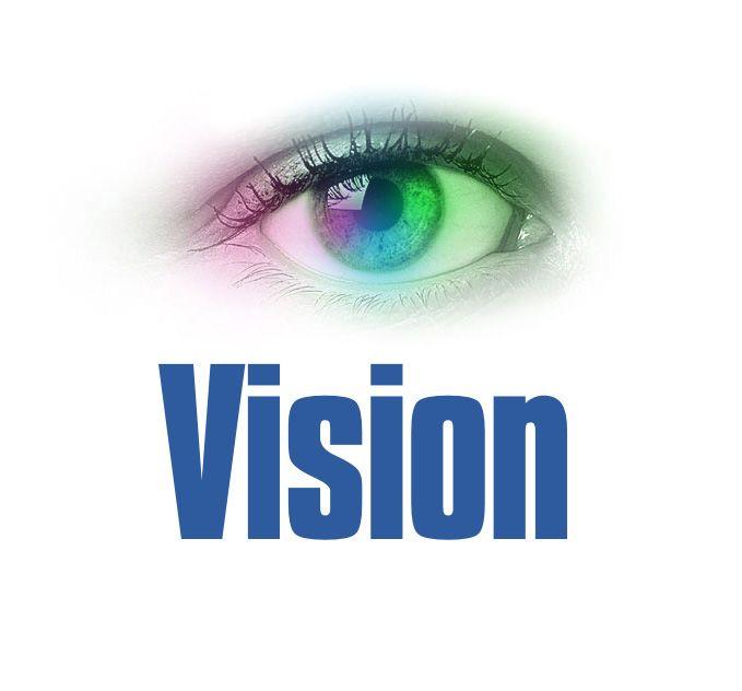 What is Vision in business and elements of vision.jpeg